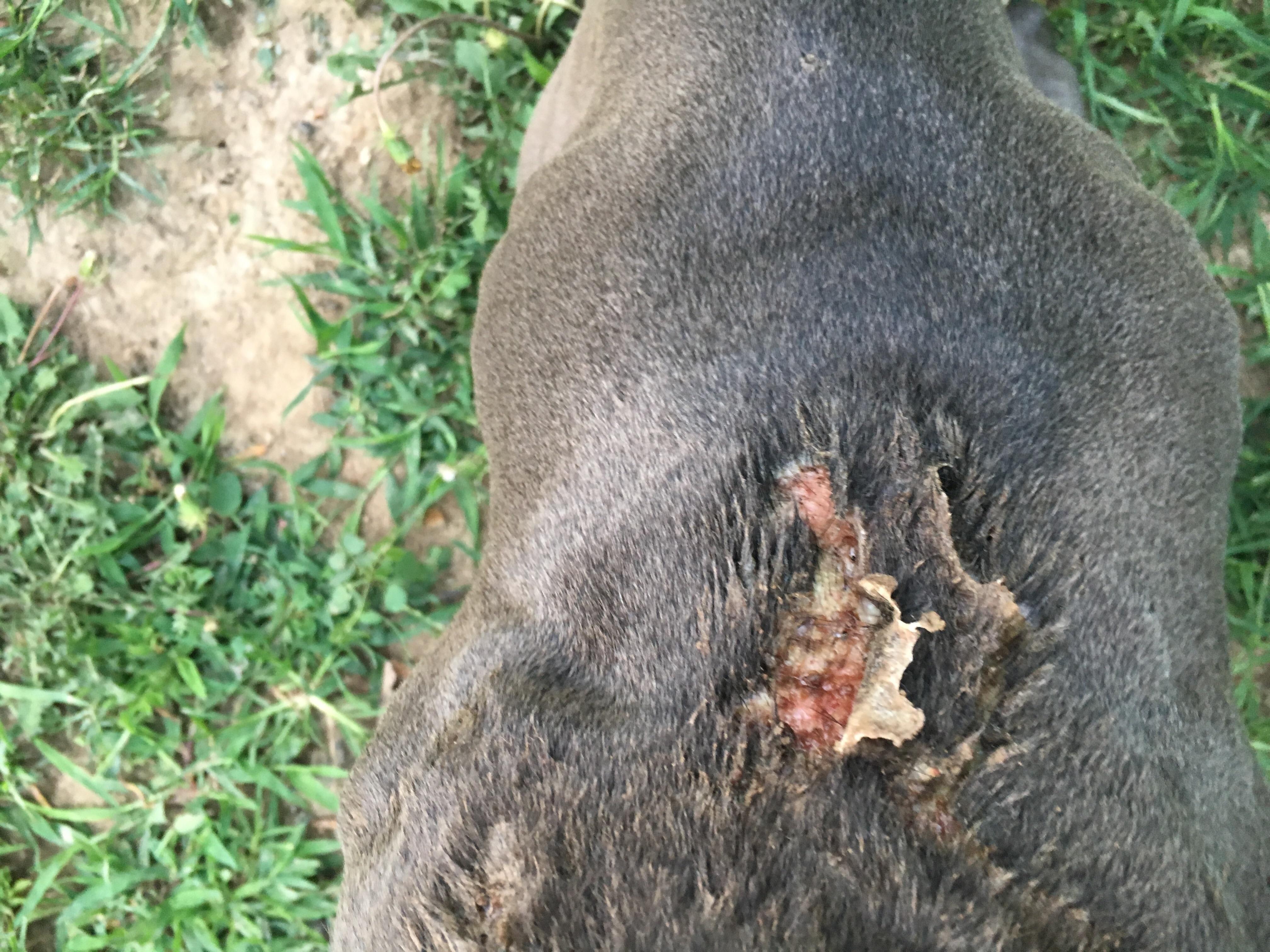 Question details sensitive content