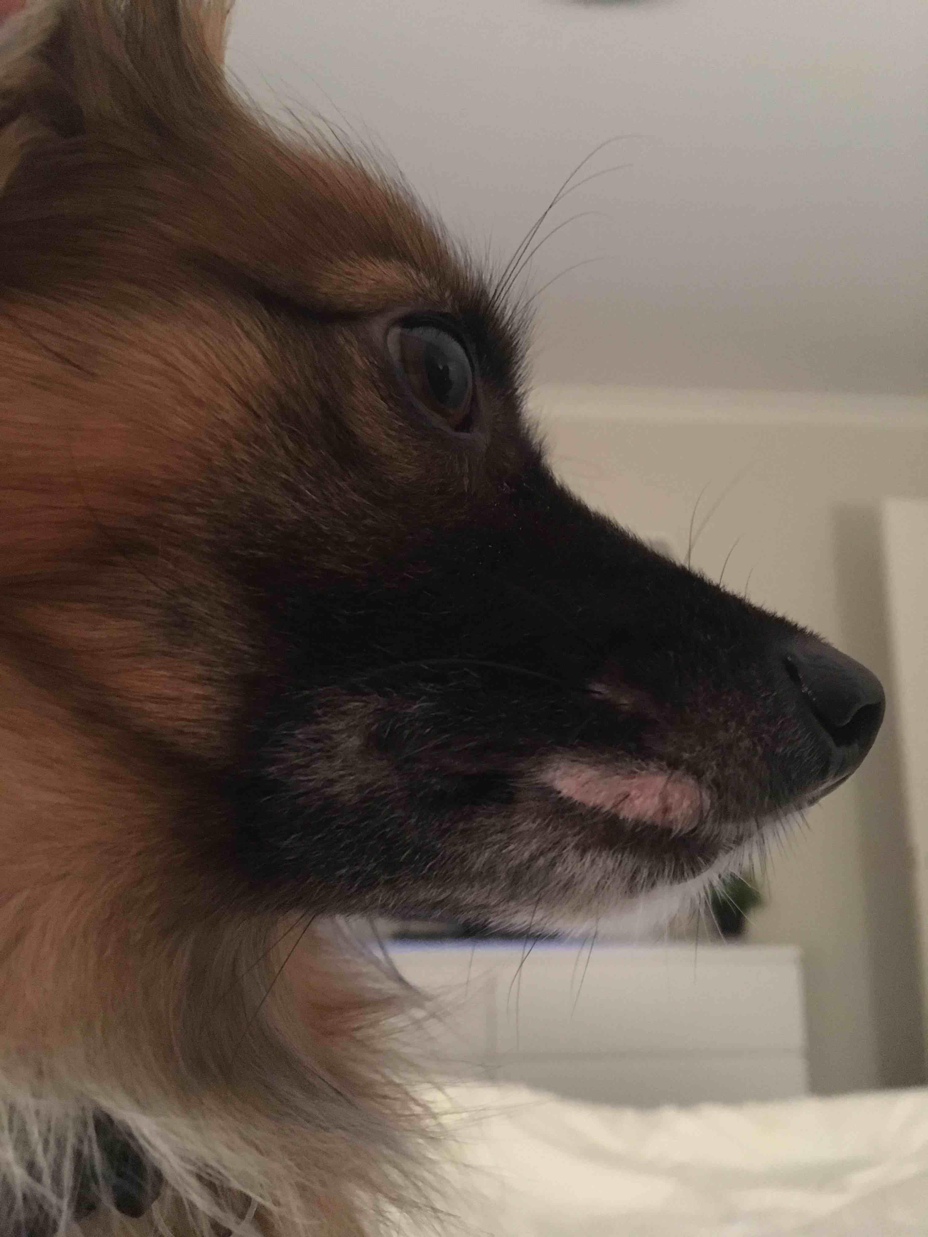 Question details sensitive content