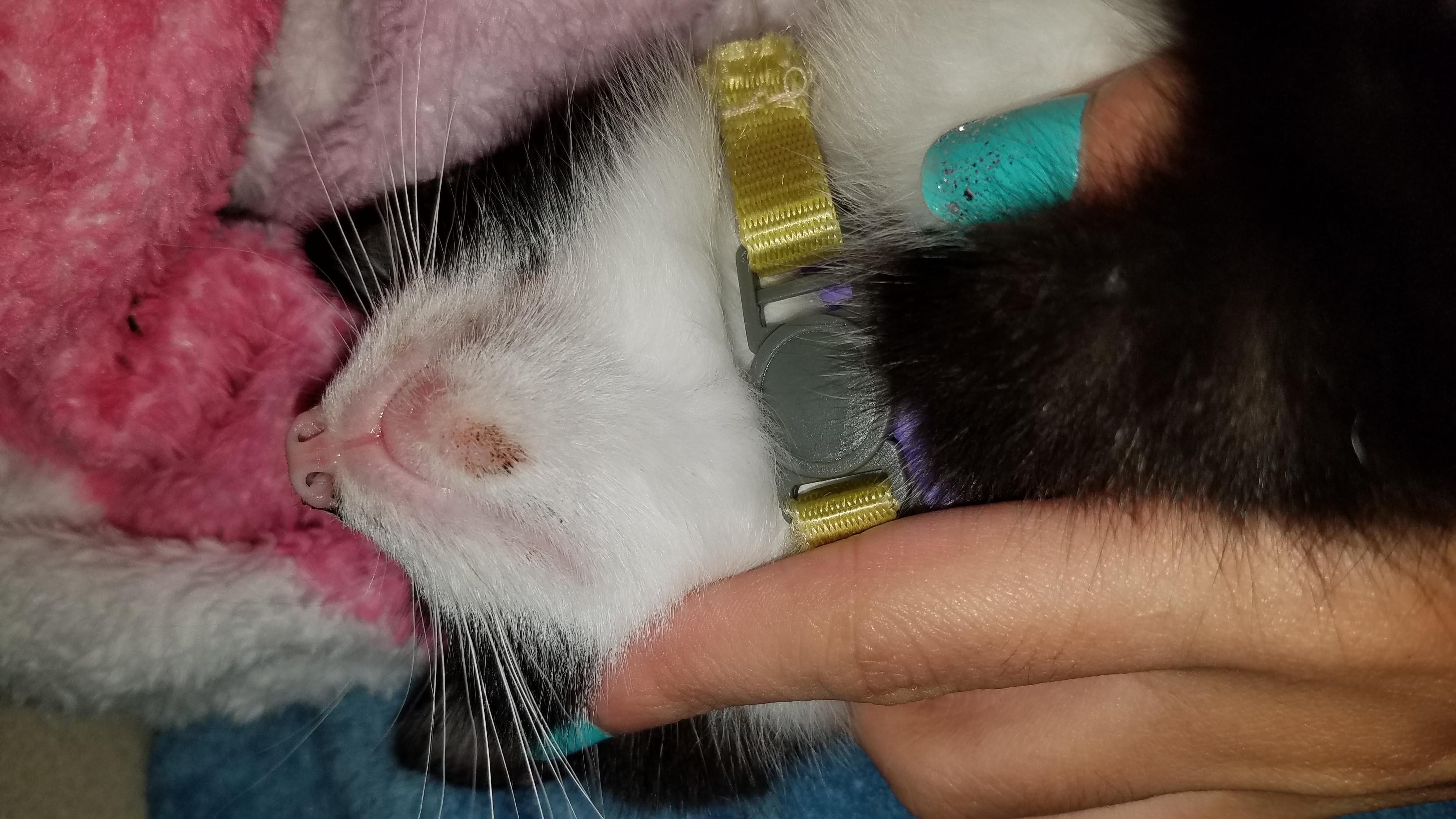 Question details sensitive content