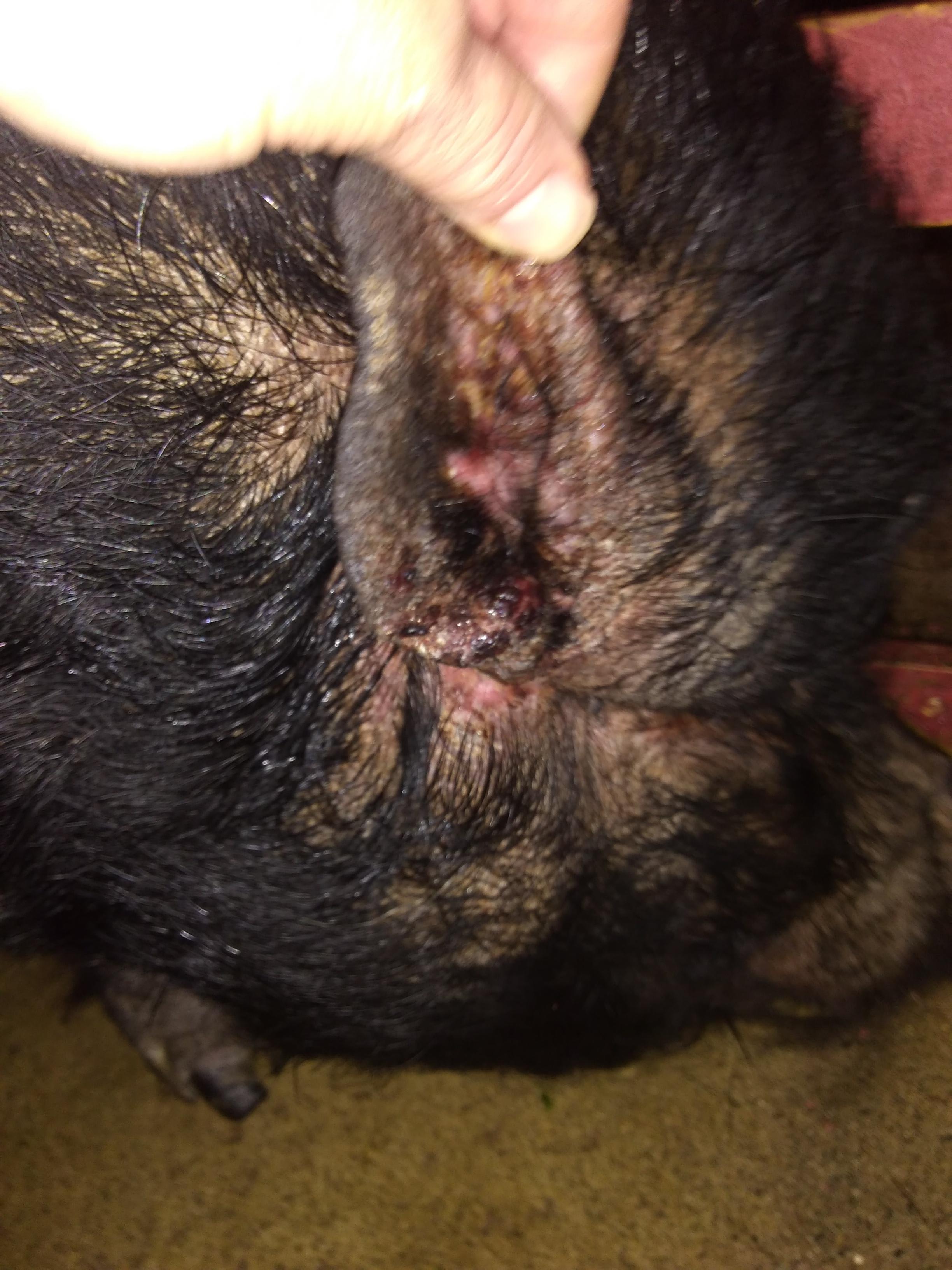 Question details sensitive content