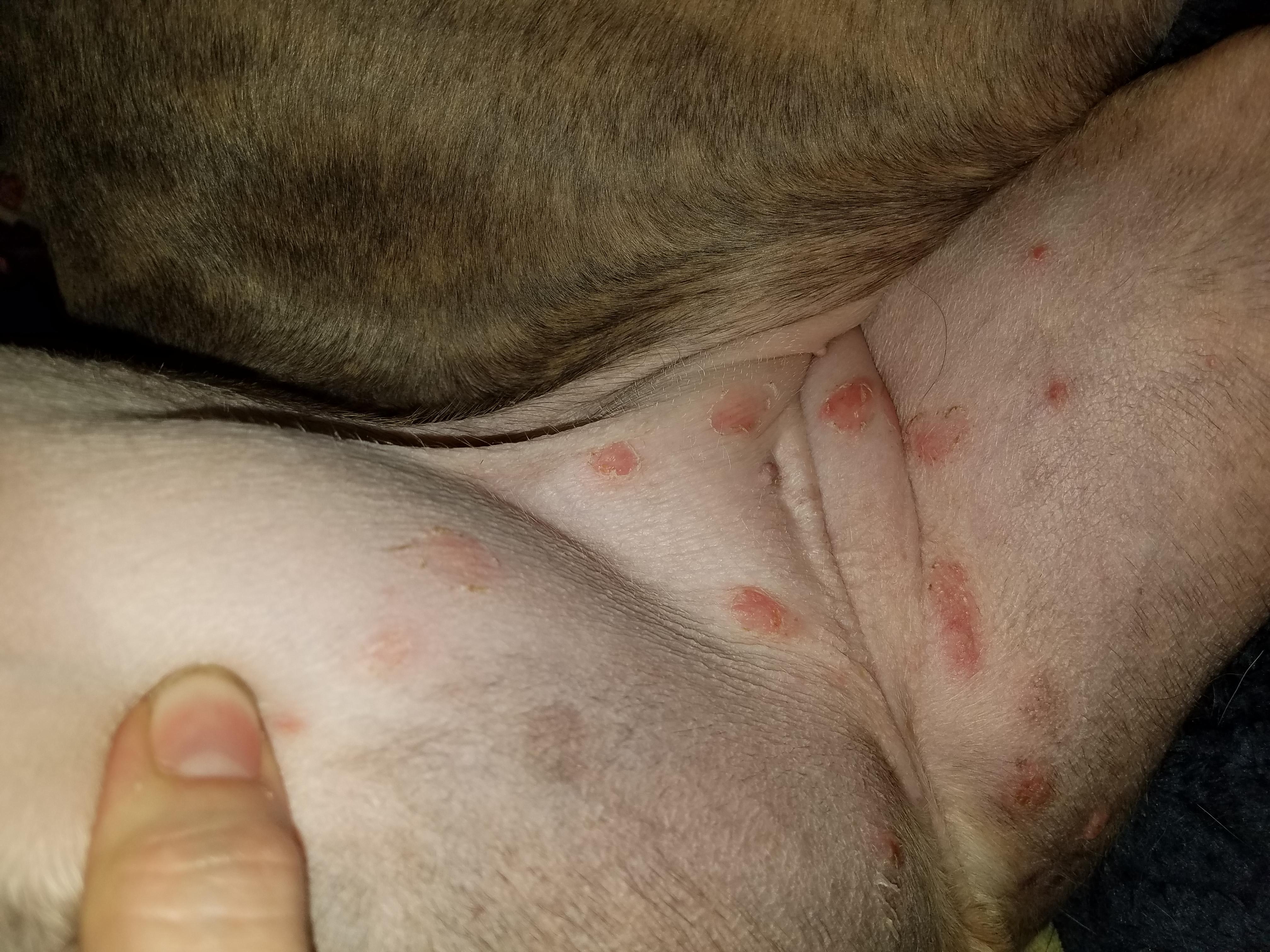 Question details sensitive content