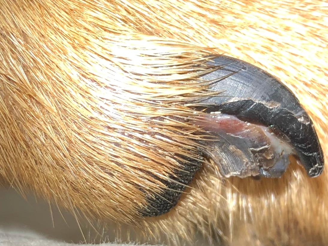 Question details sensitive content