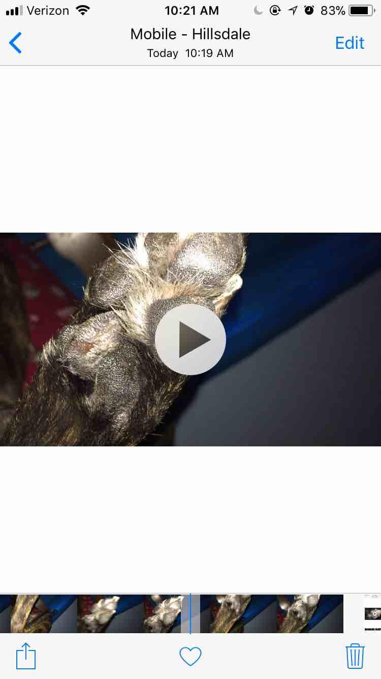 Question details sensitive content