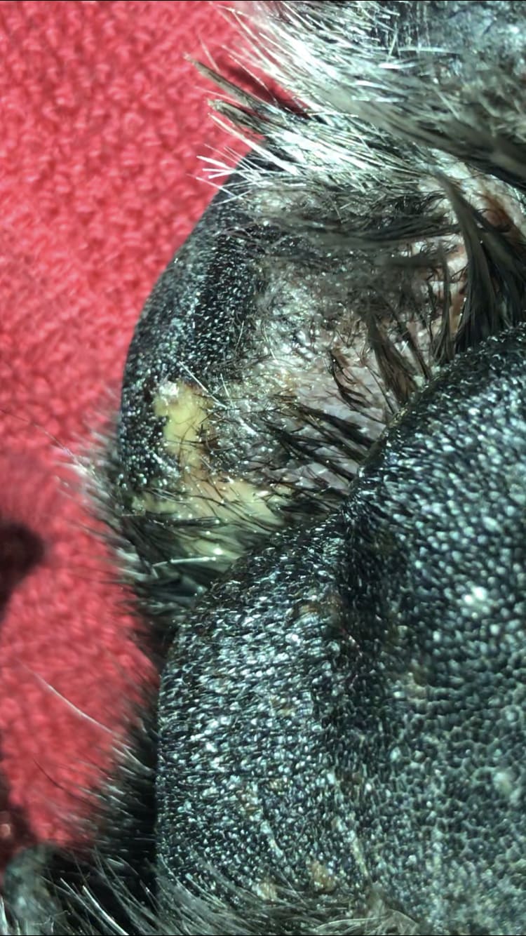 Question details sensitive content