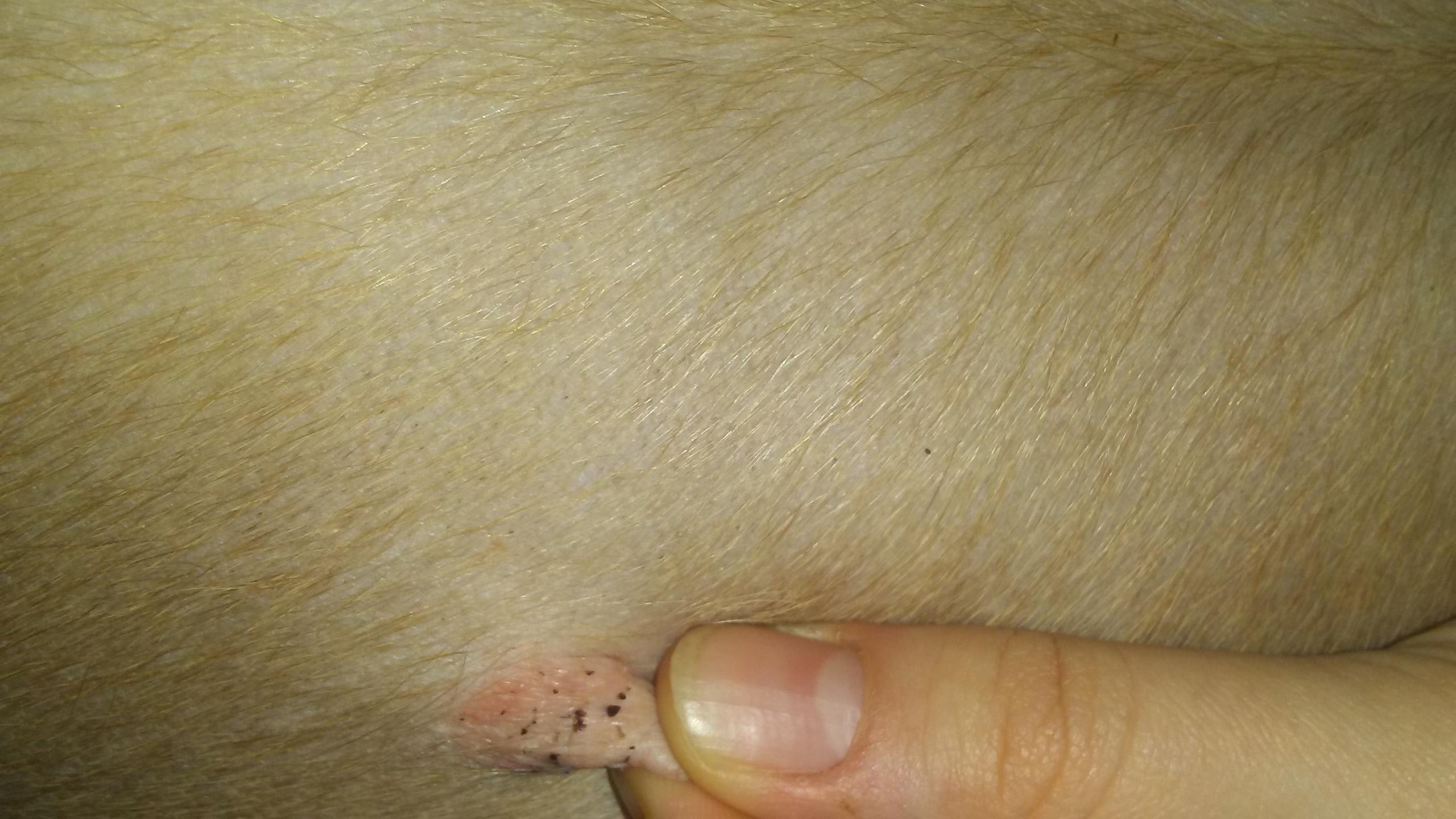 Question details sensitive content