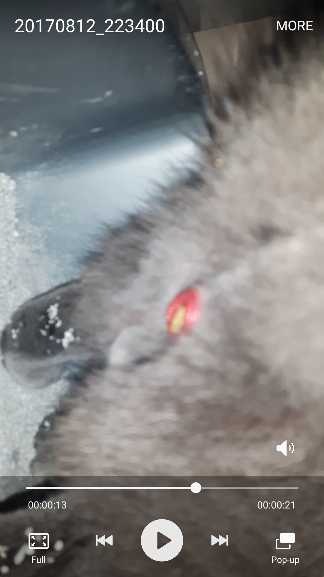 Question details sensitive content