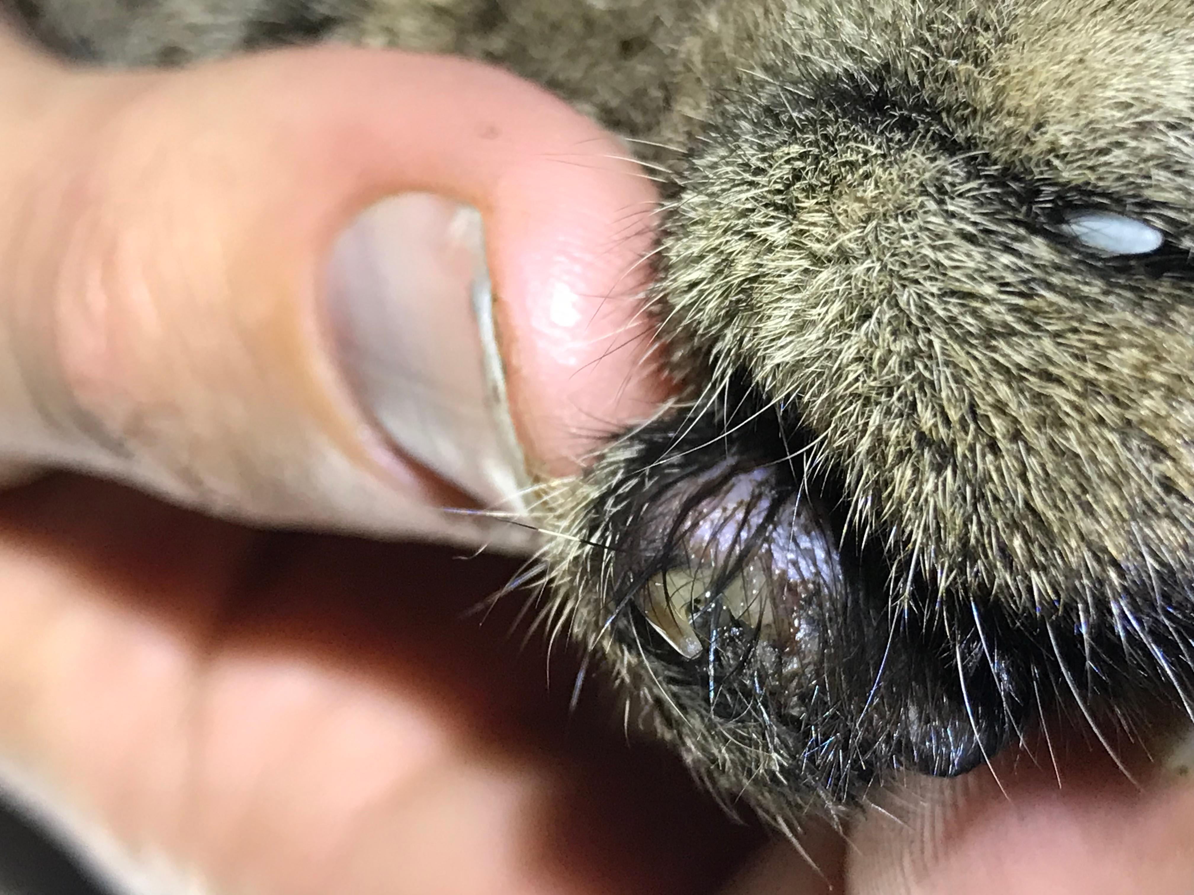 Question details sensitive content