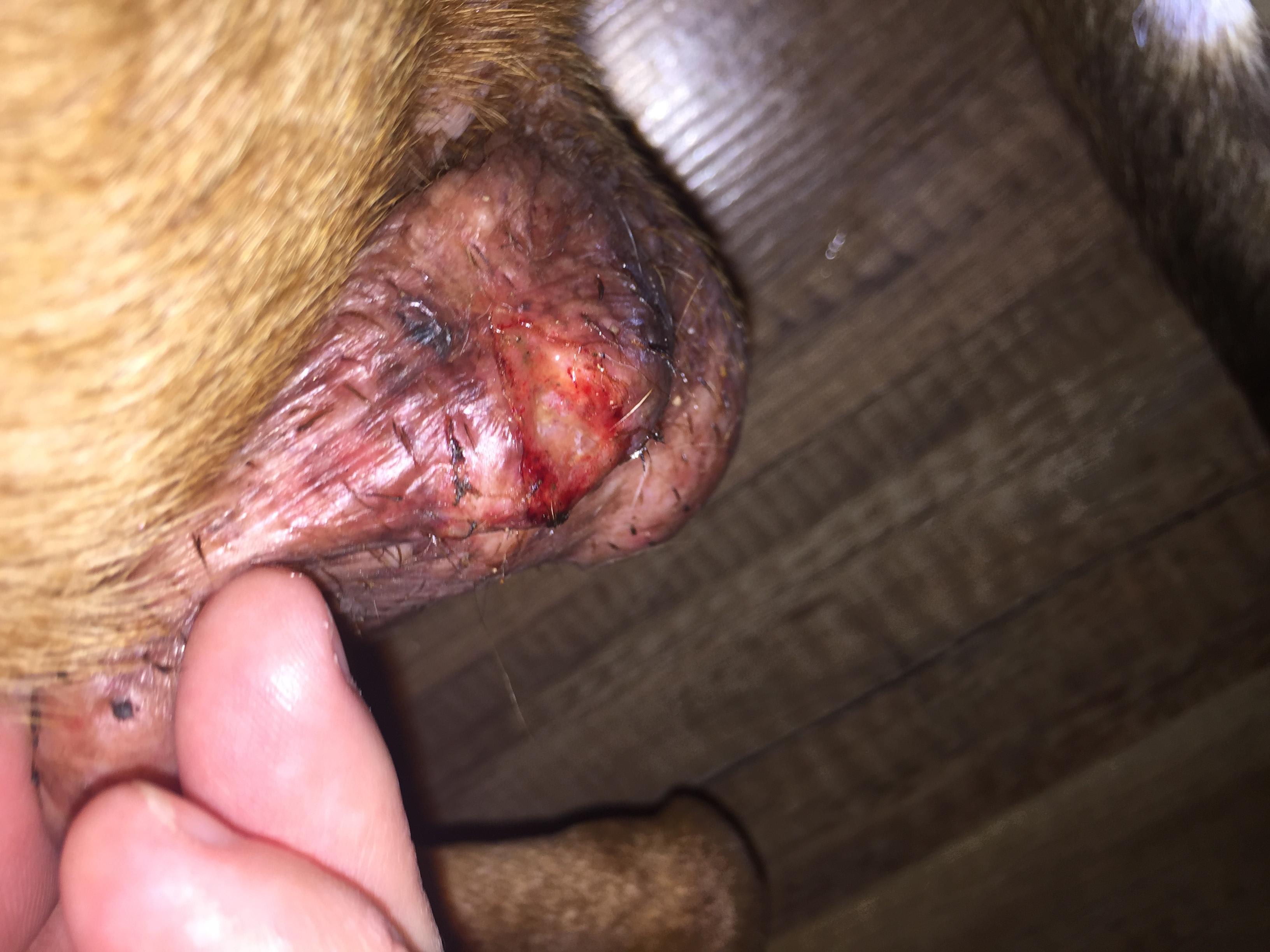 Question details sensitive content