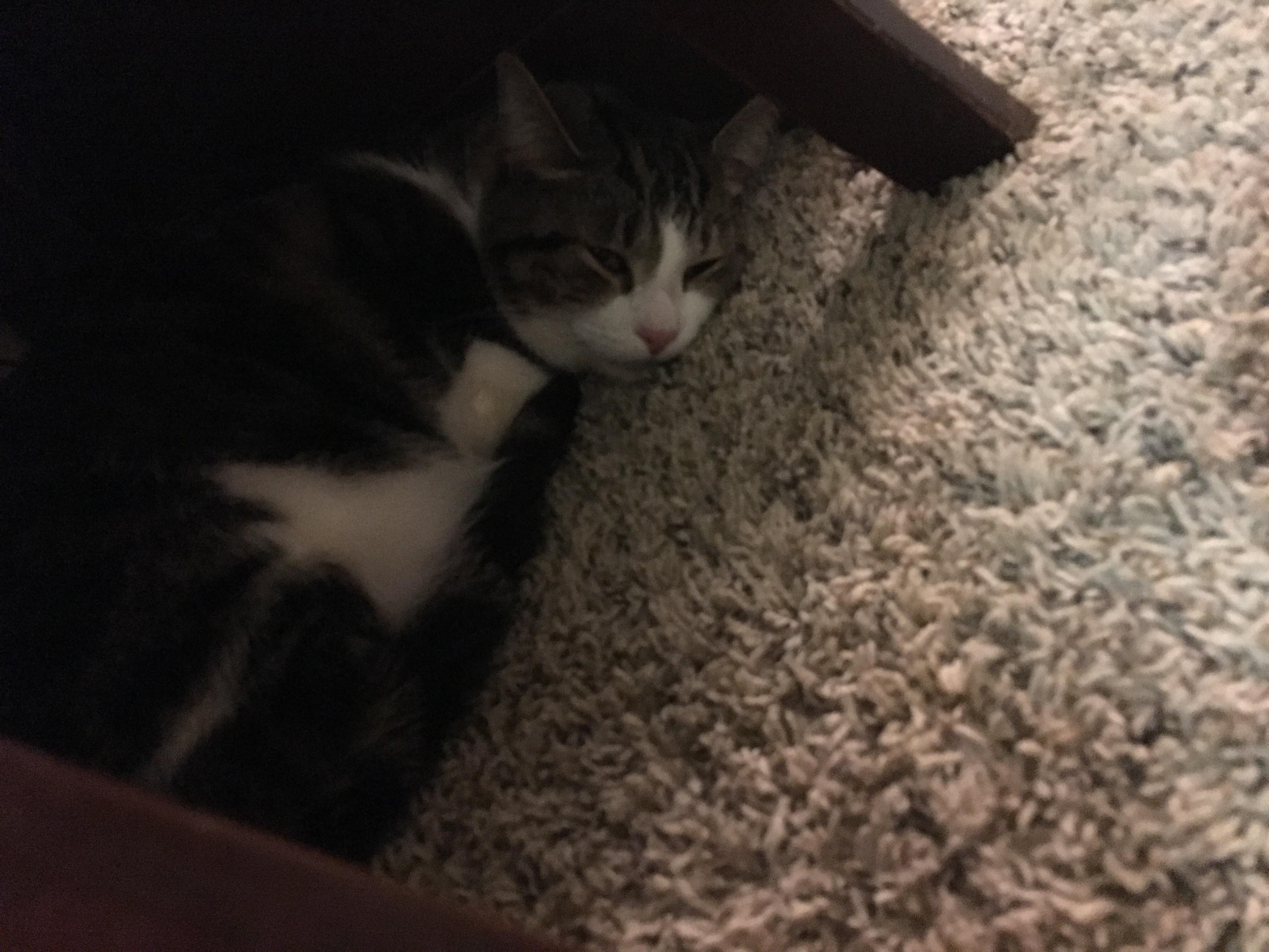 Question details sensitive content