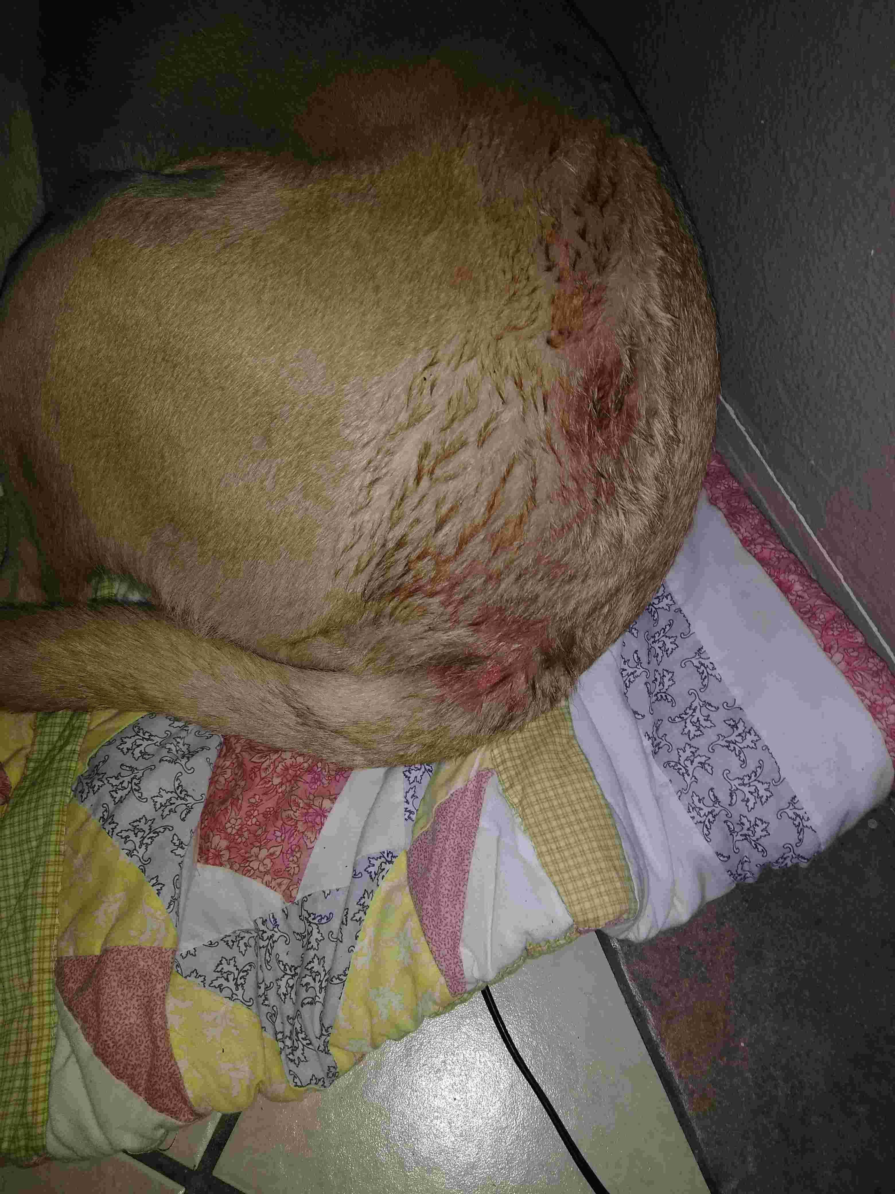 Question details sensitive content