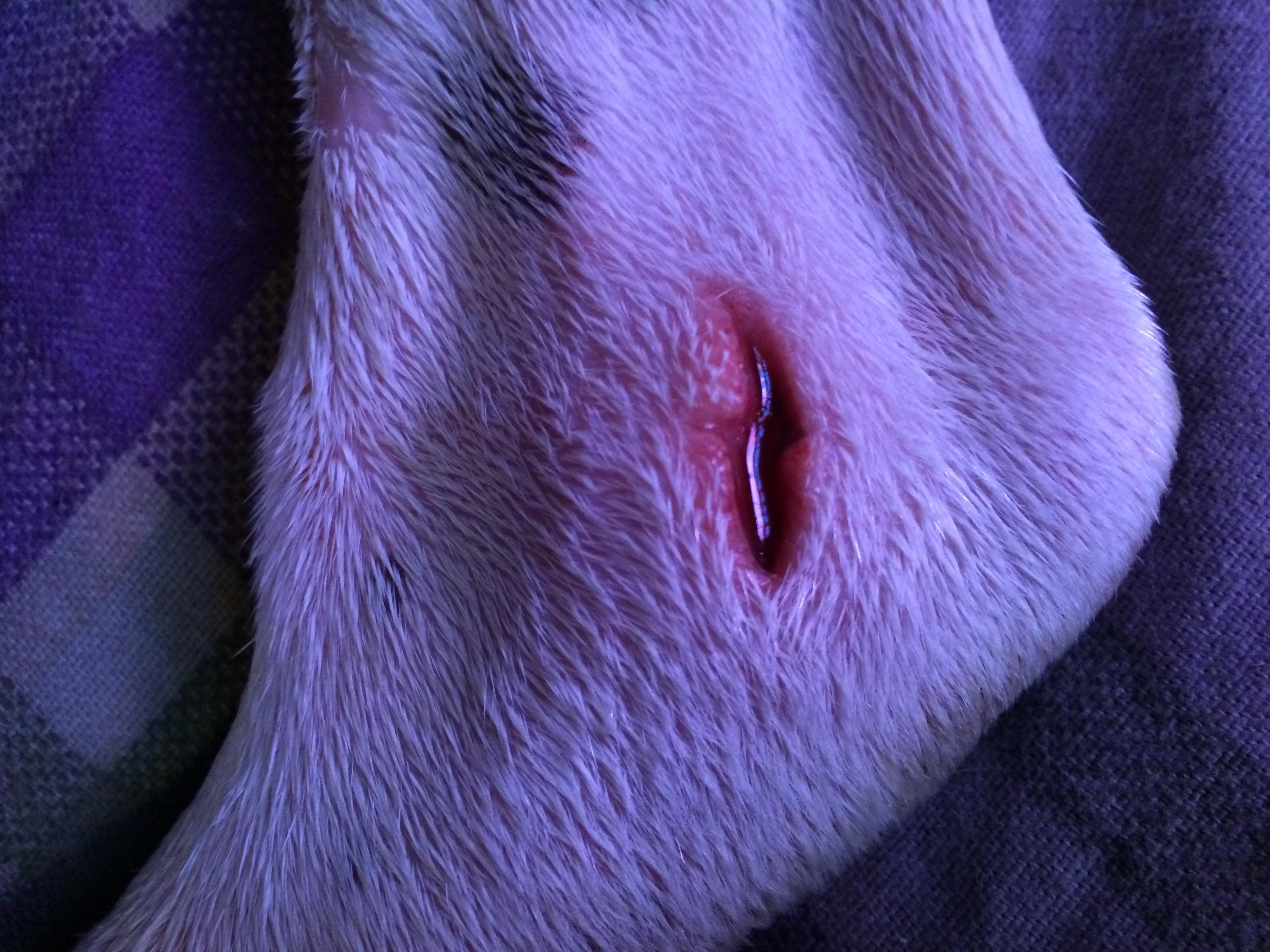 Question details sensitive content