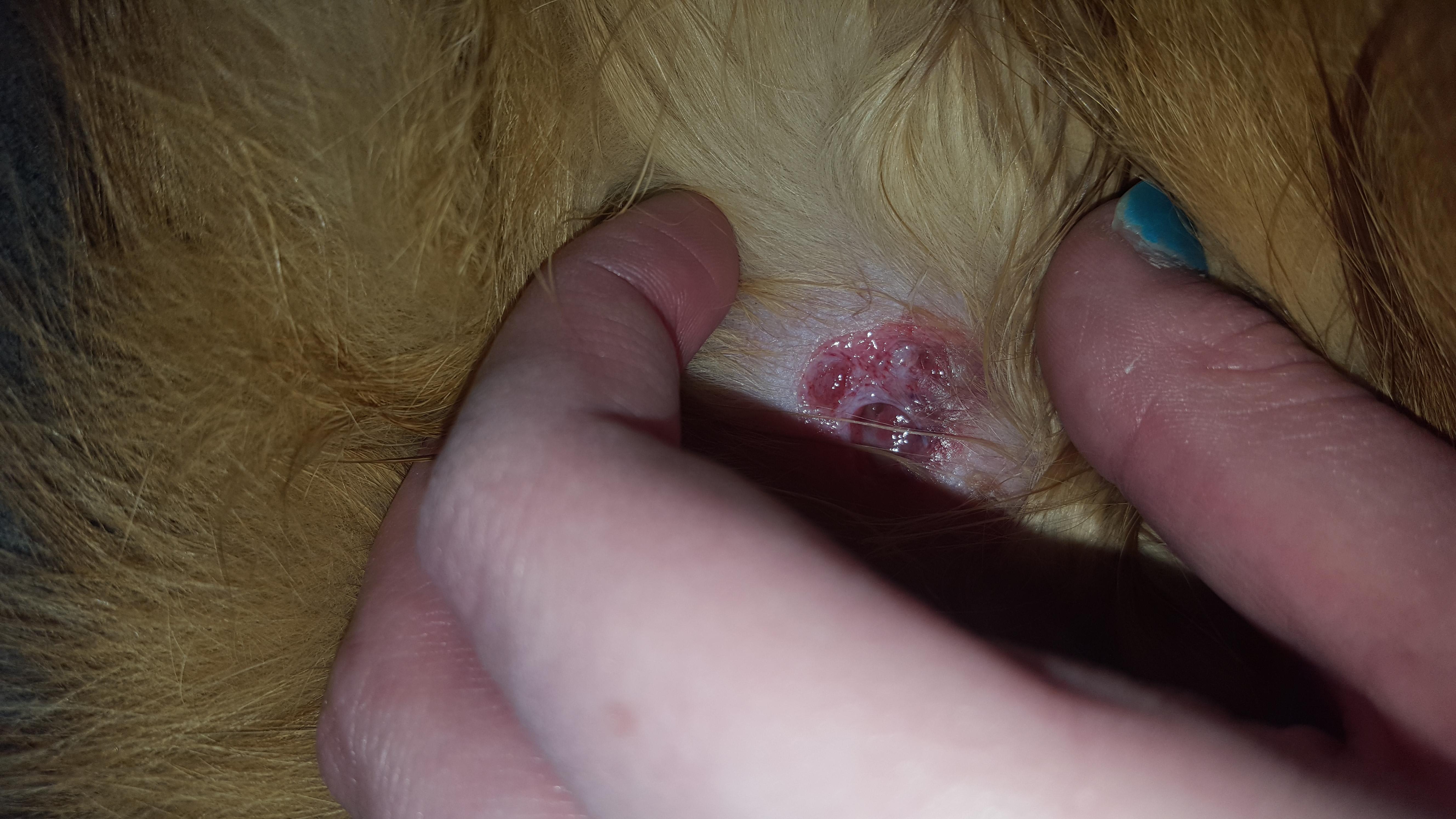 Question details sensitive content