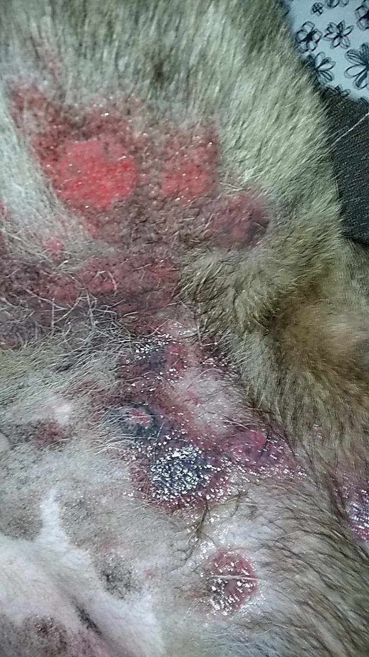 Question details sensitive content