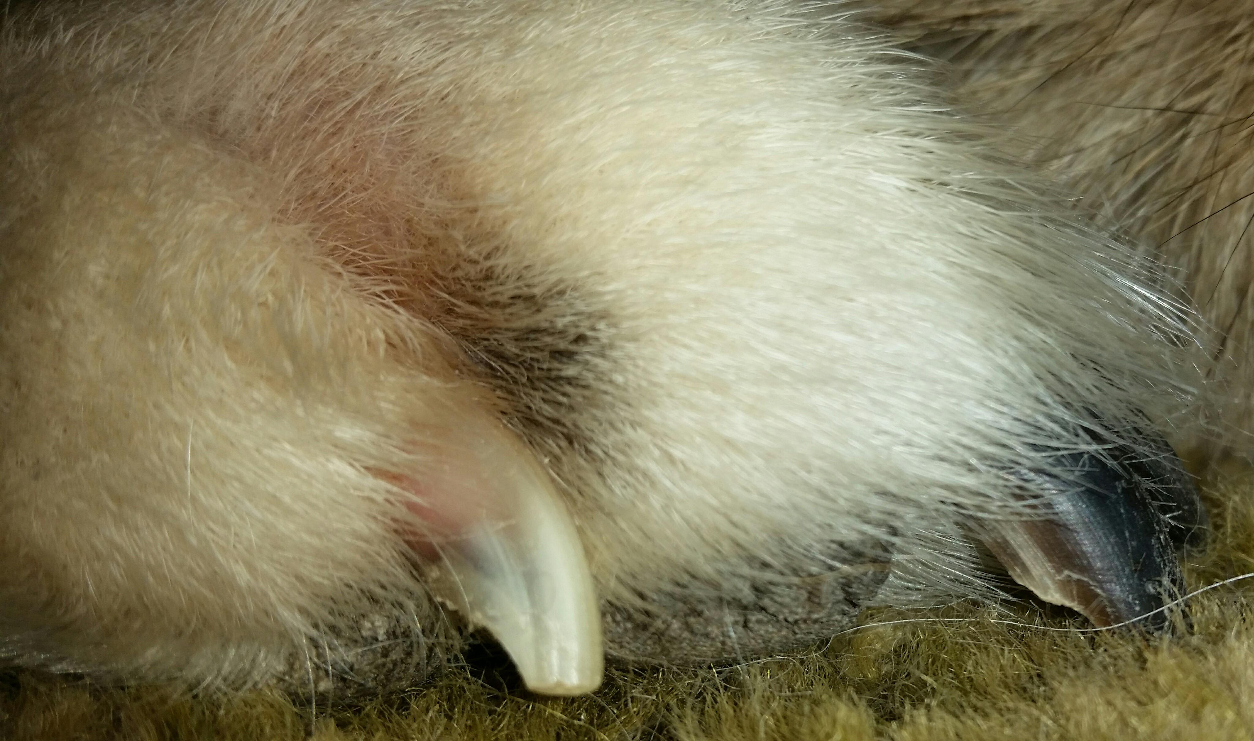 Question details sensitive content