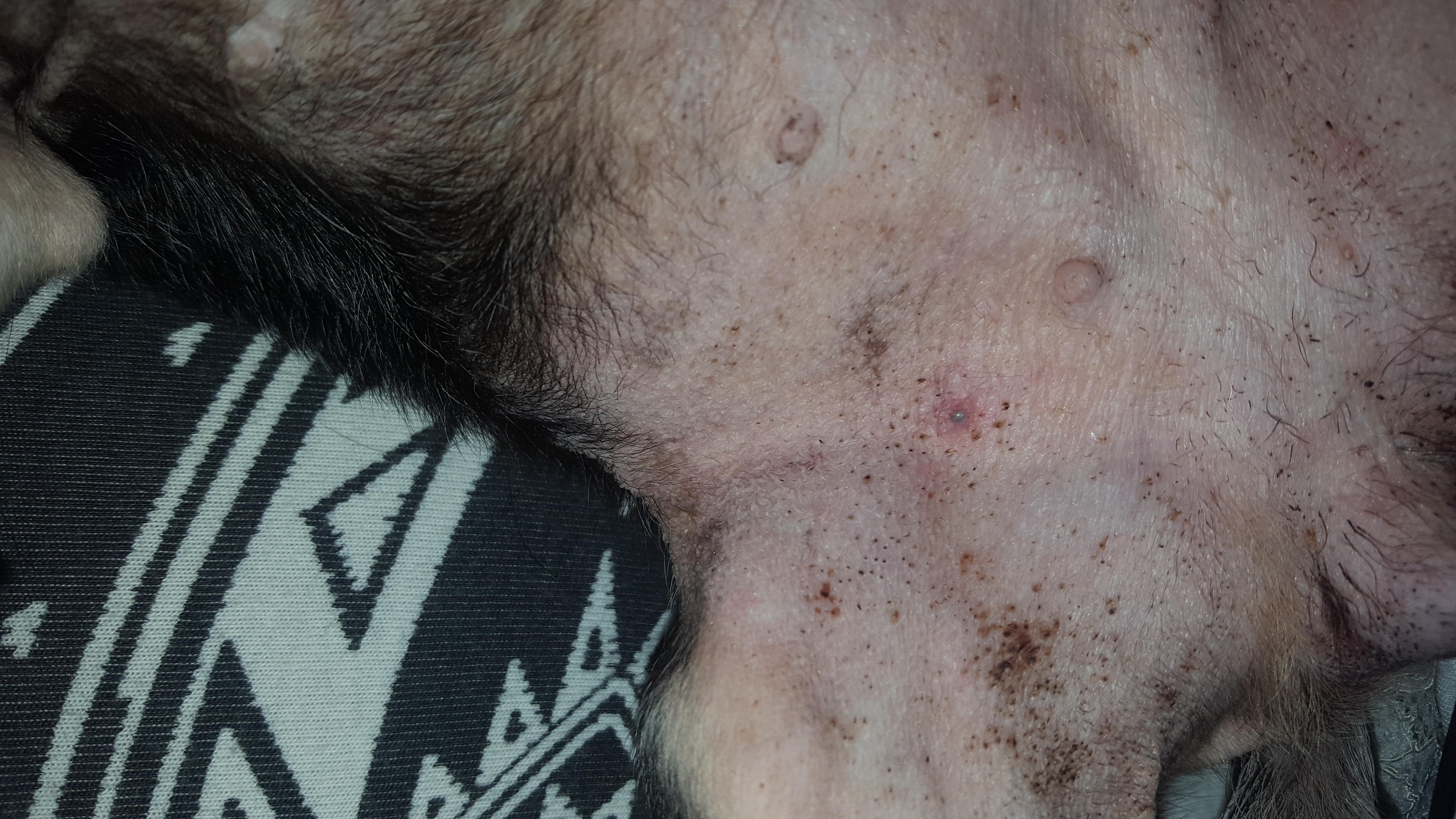 Question details sensitive content