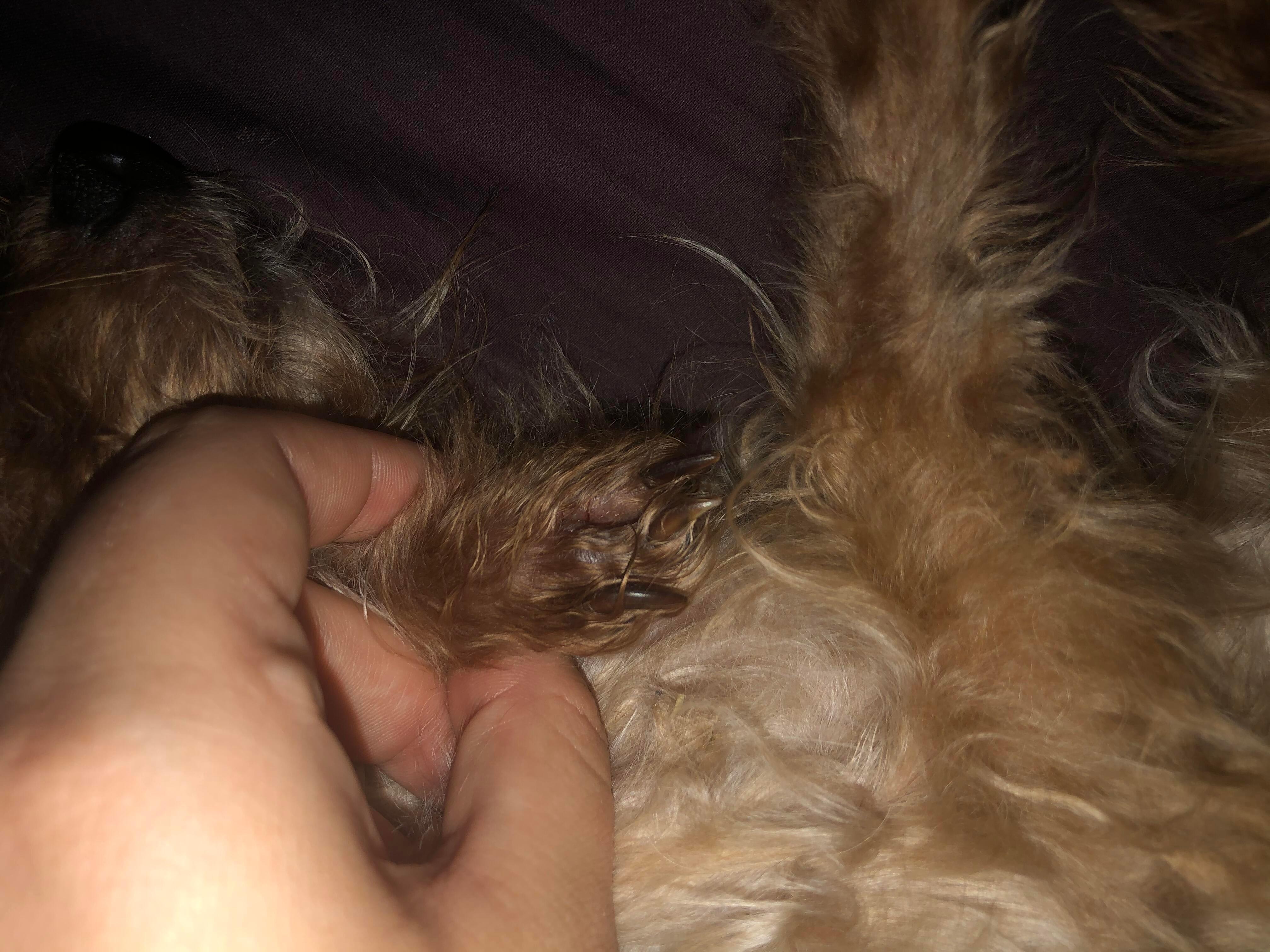 Question details sensitive content