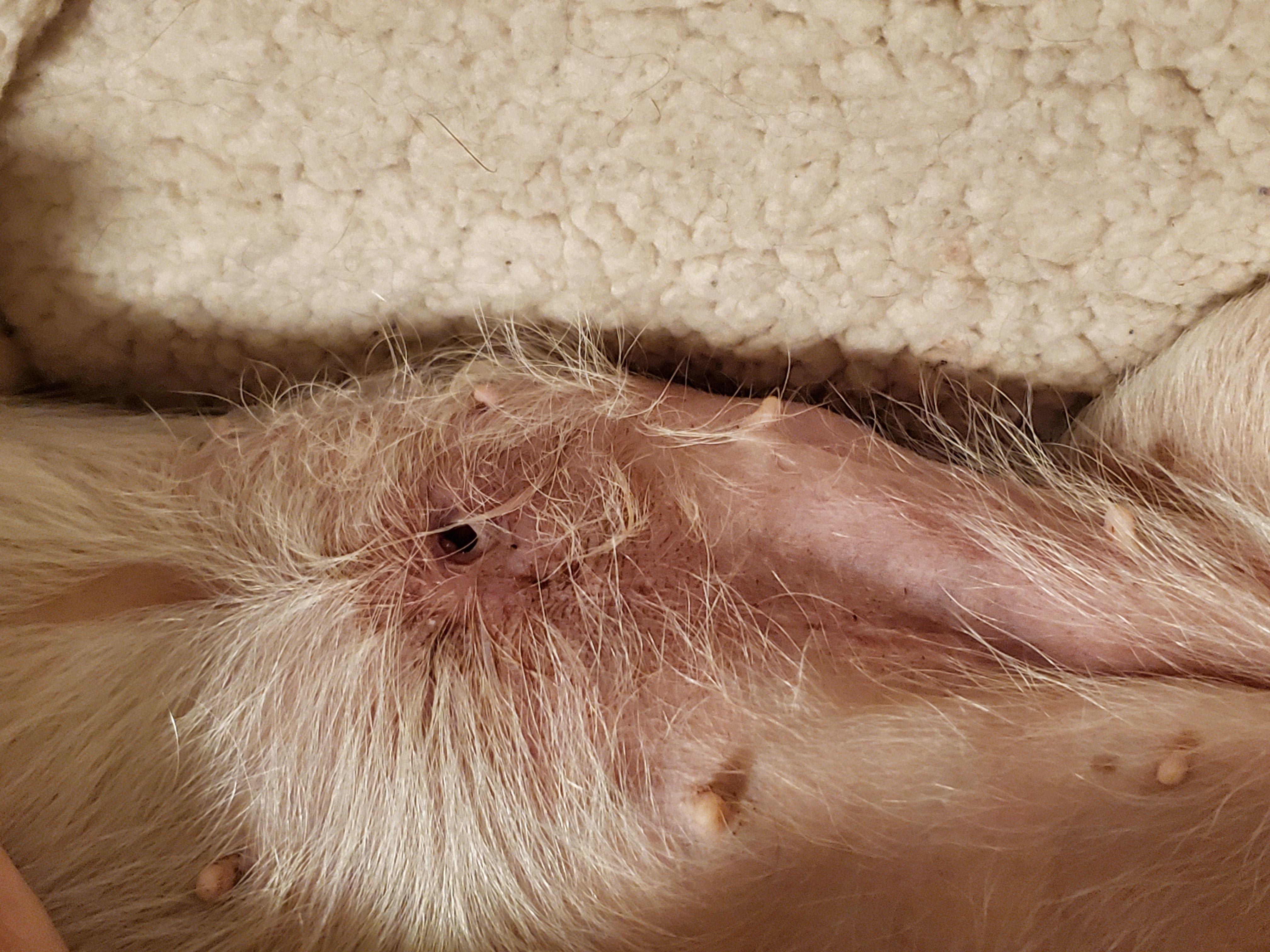 Question details sensitive content