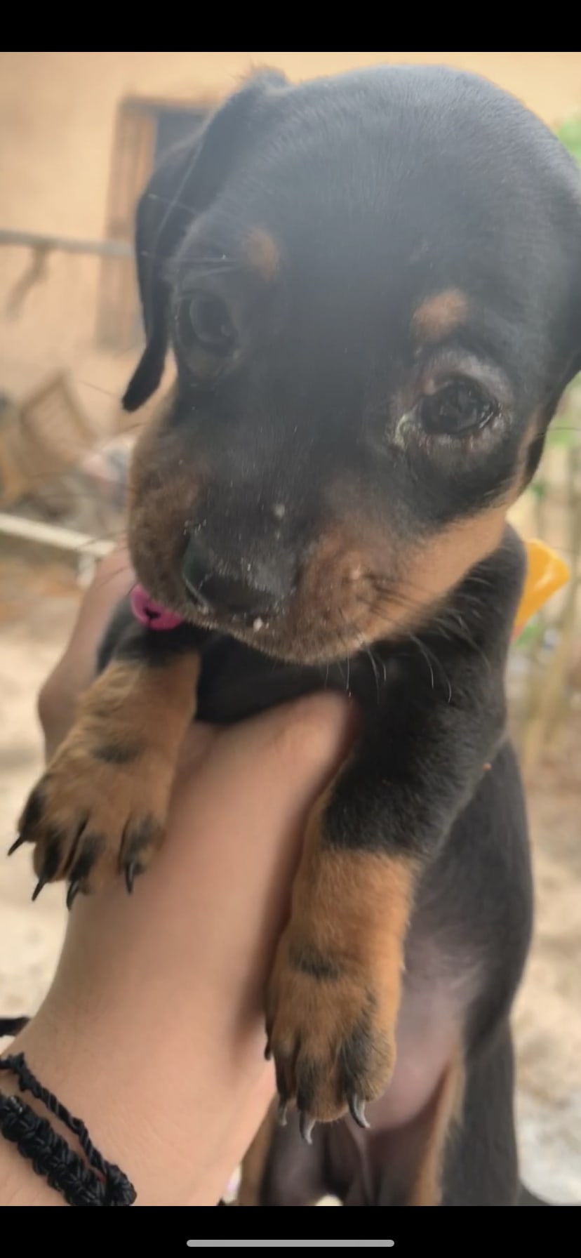 Question details sensitive content