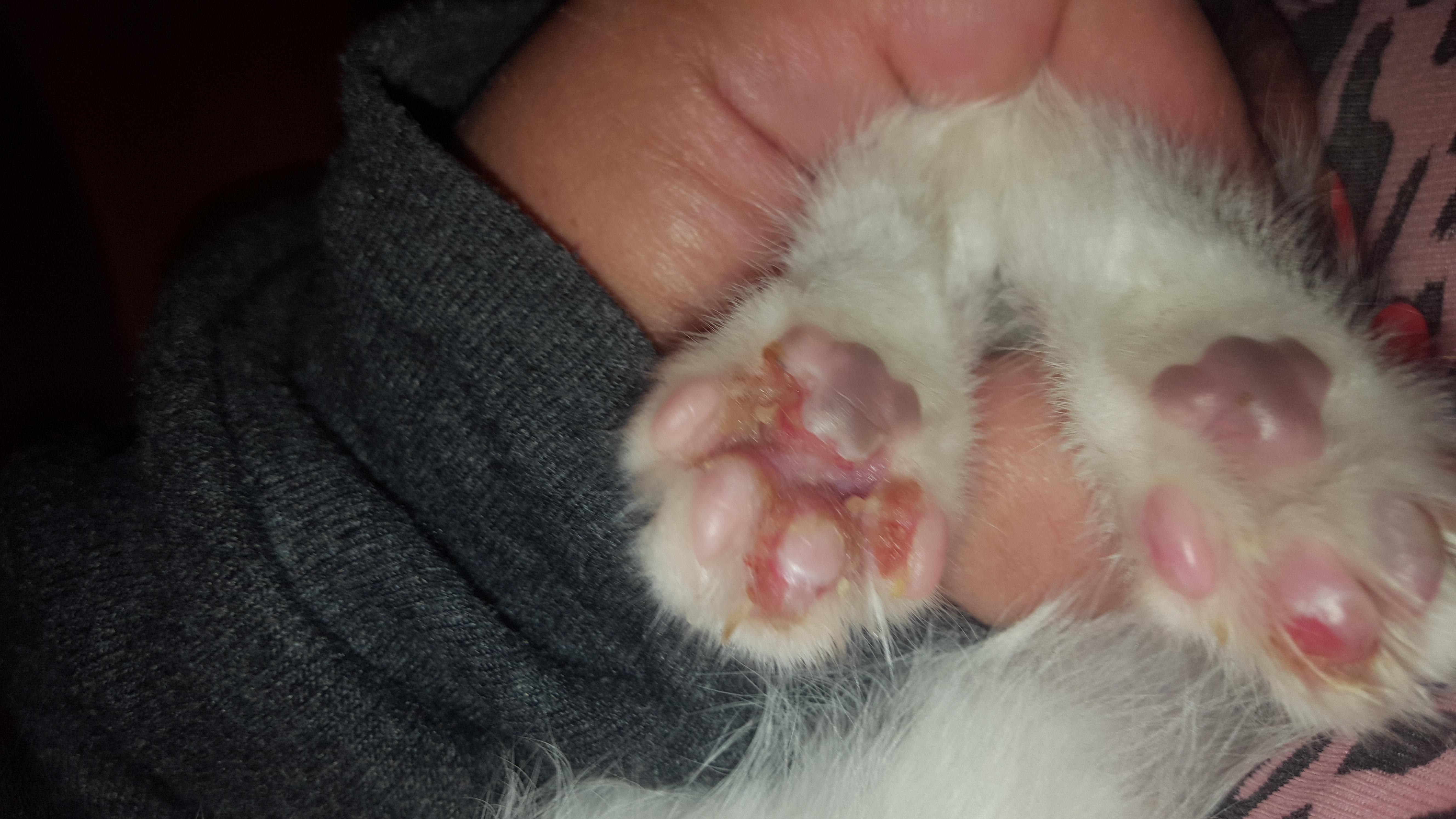 Question details sensitive content