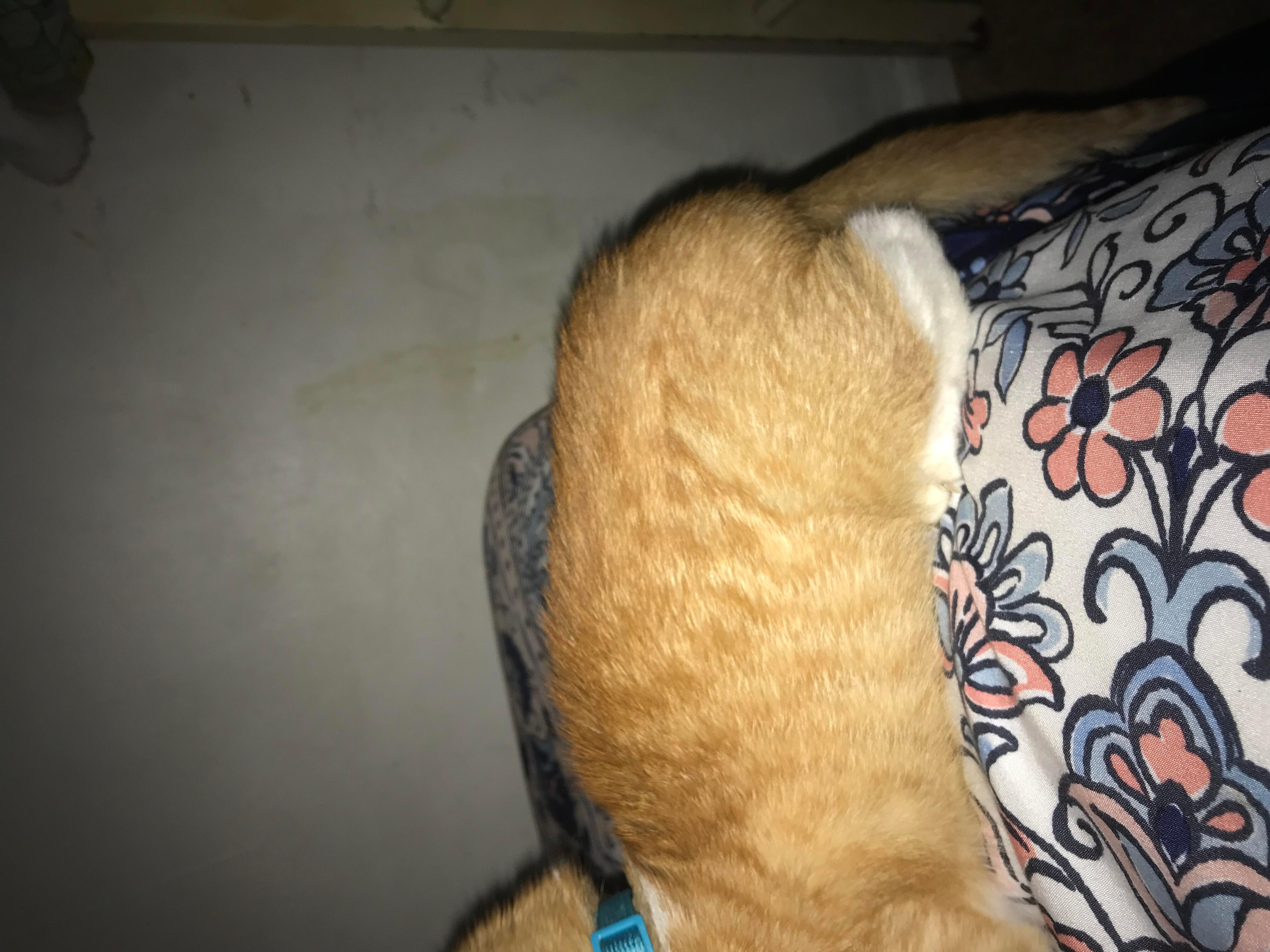 Question details sensitive content