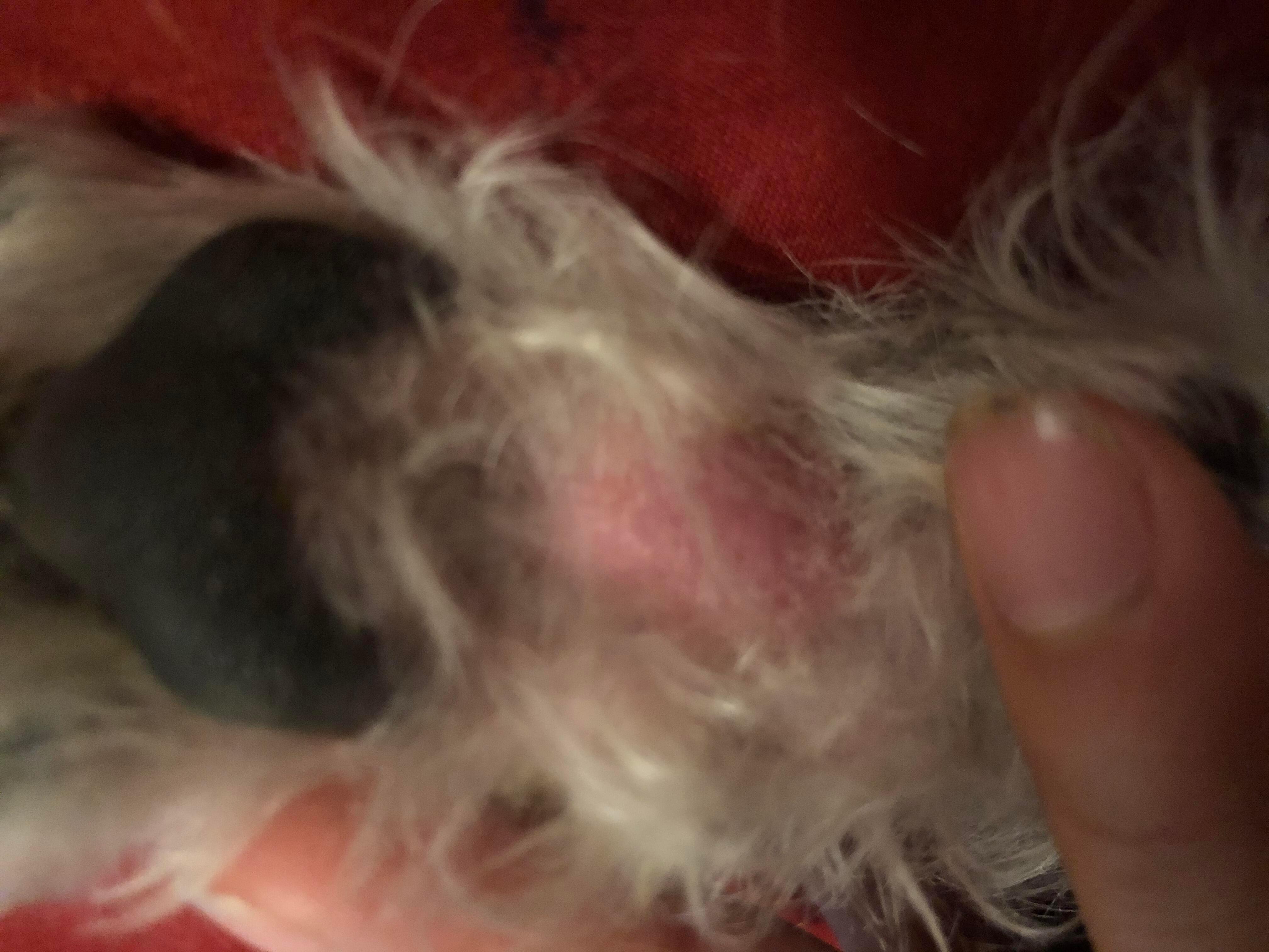 Question details sensitive content