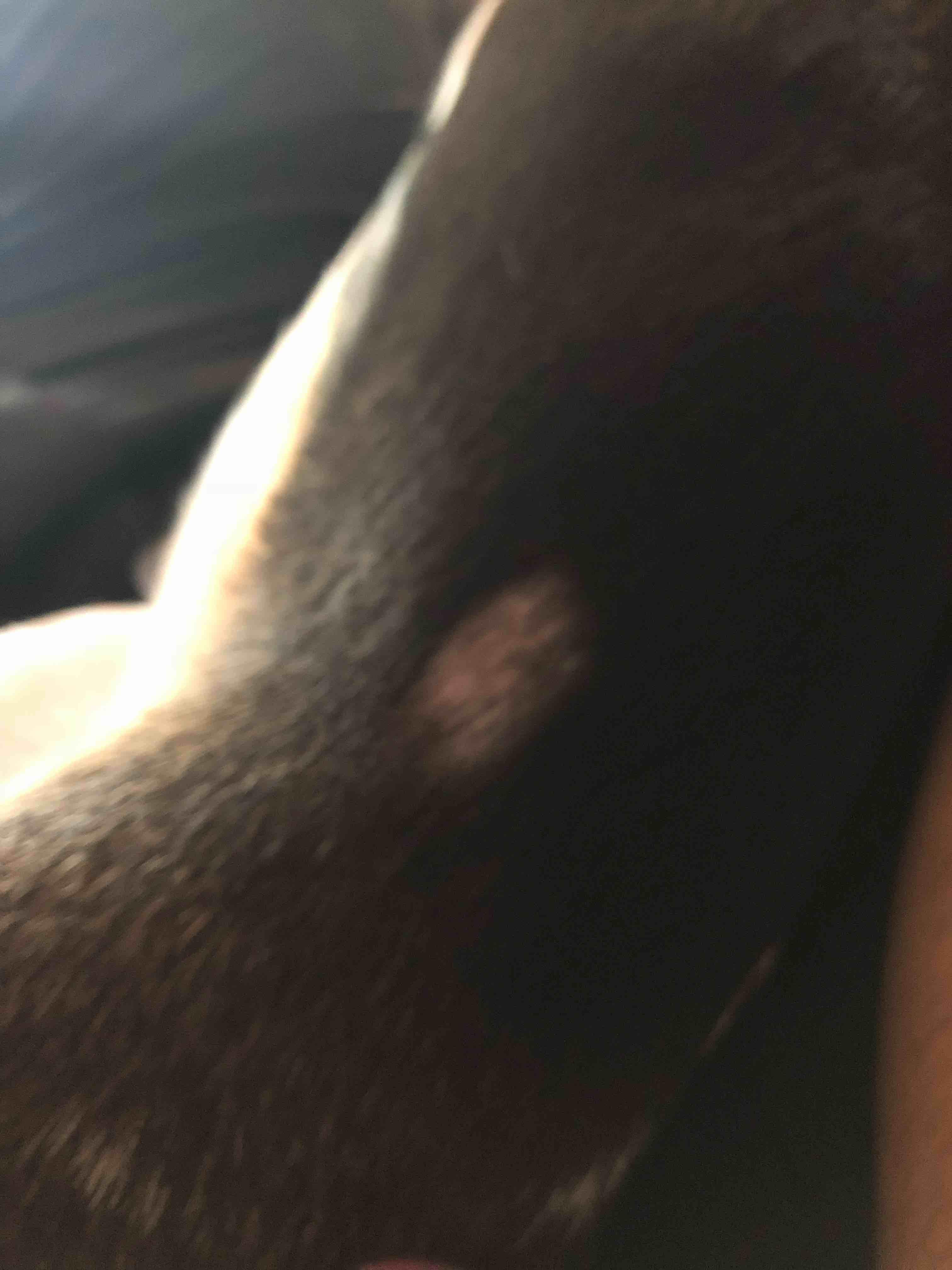 Question details sensitive content