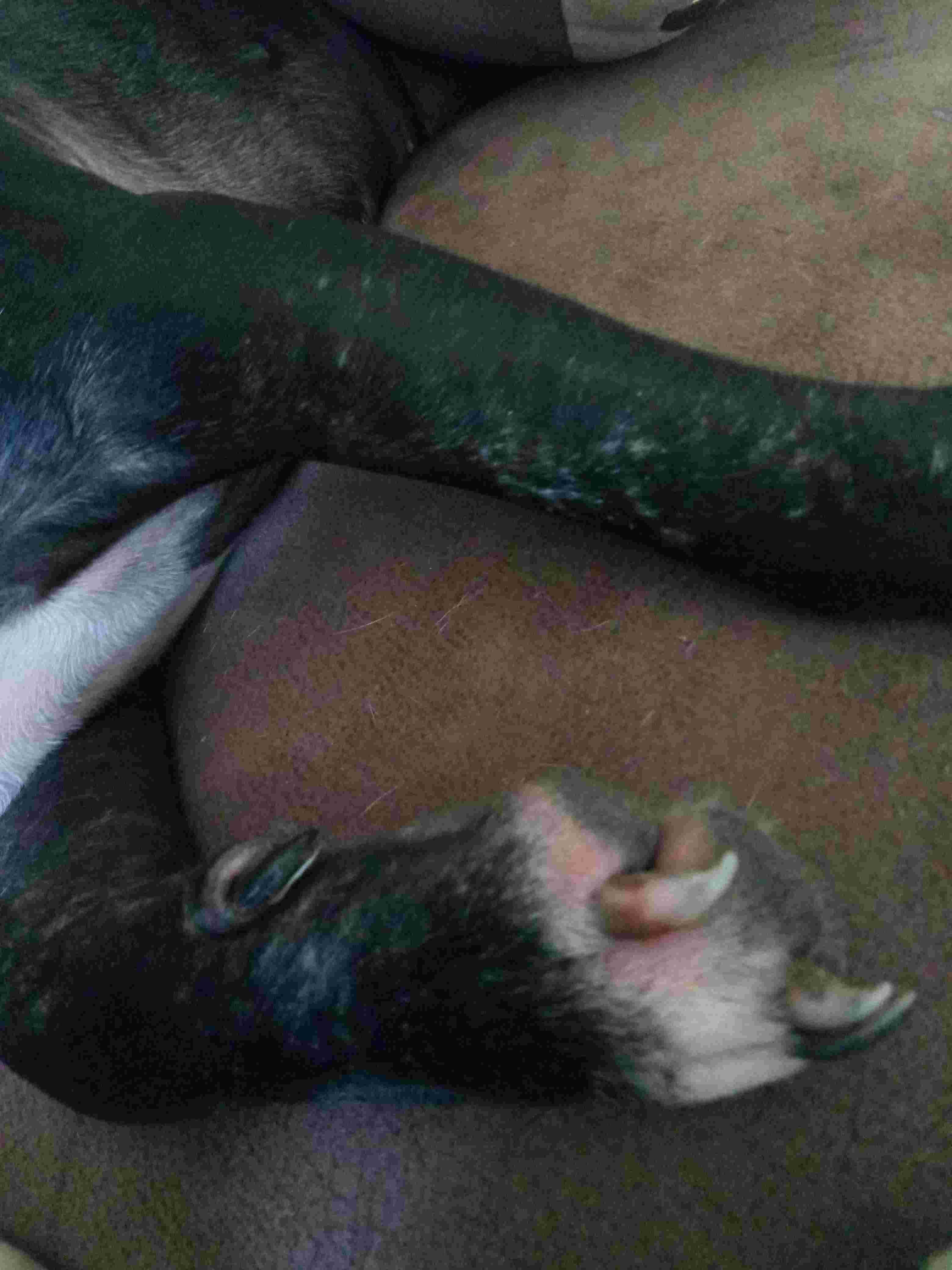 Question details sensitive content