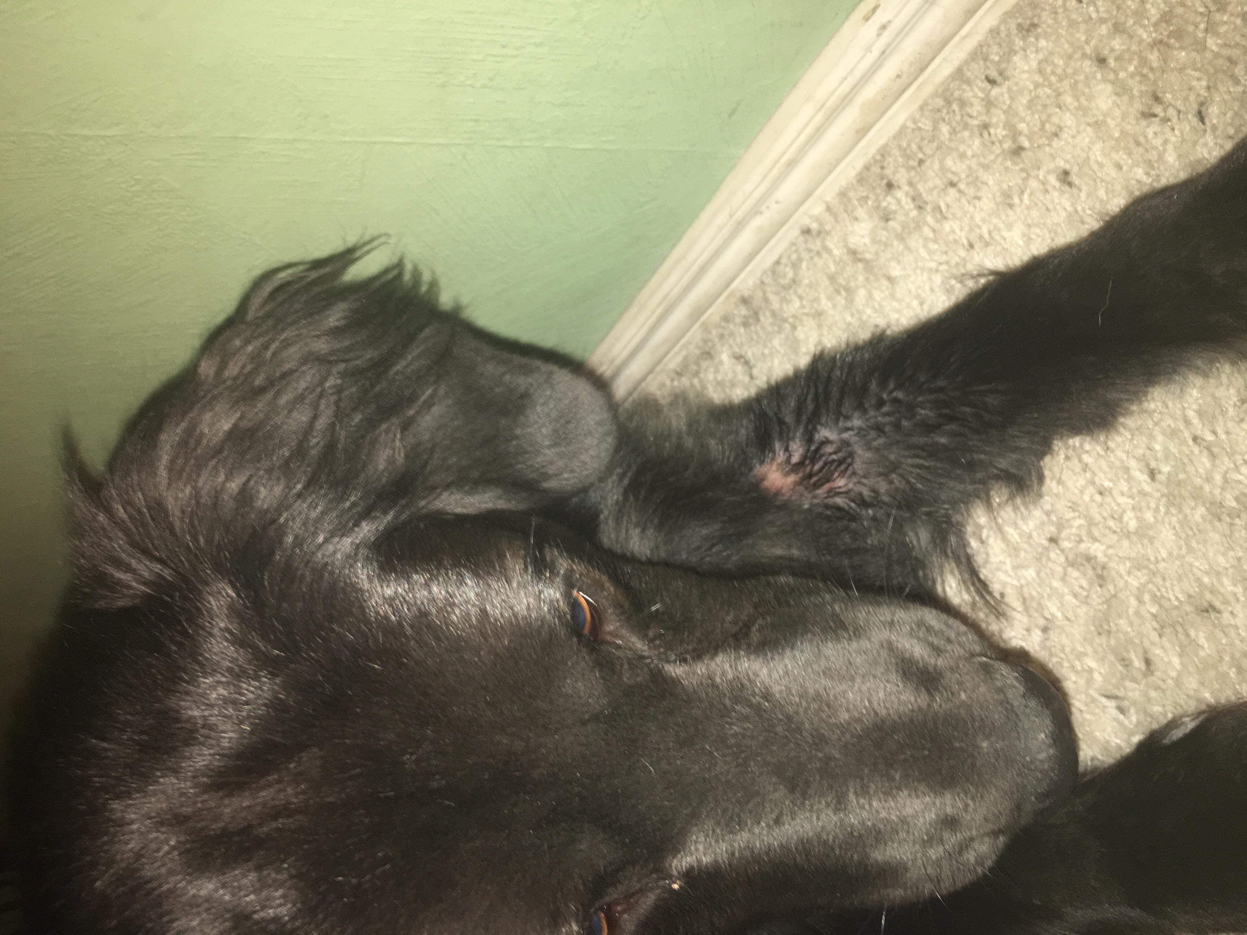 Question details sensitive content