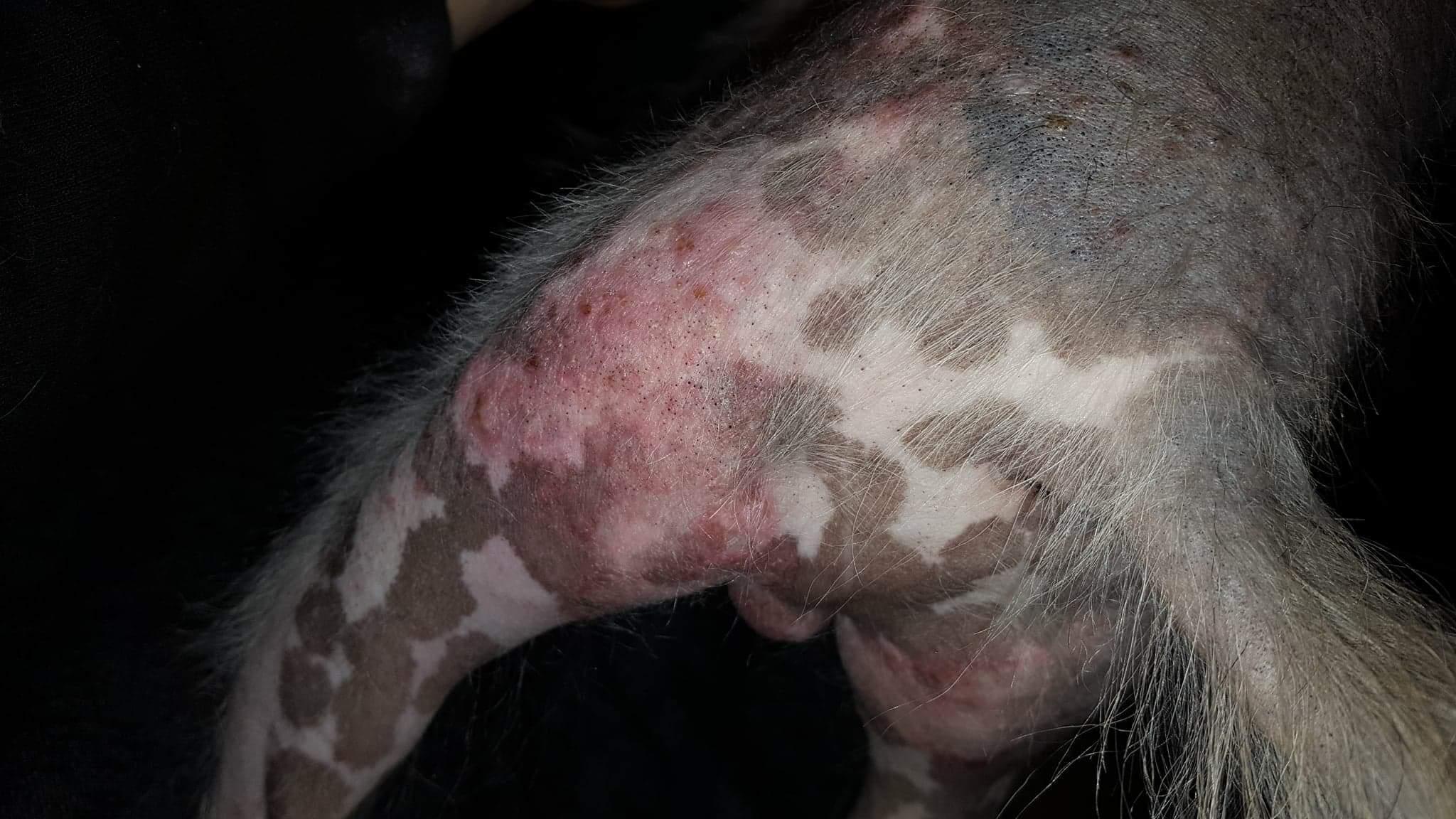 Question details sensitive content