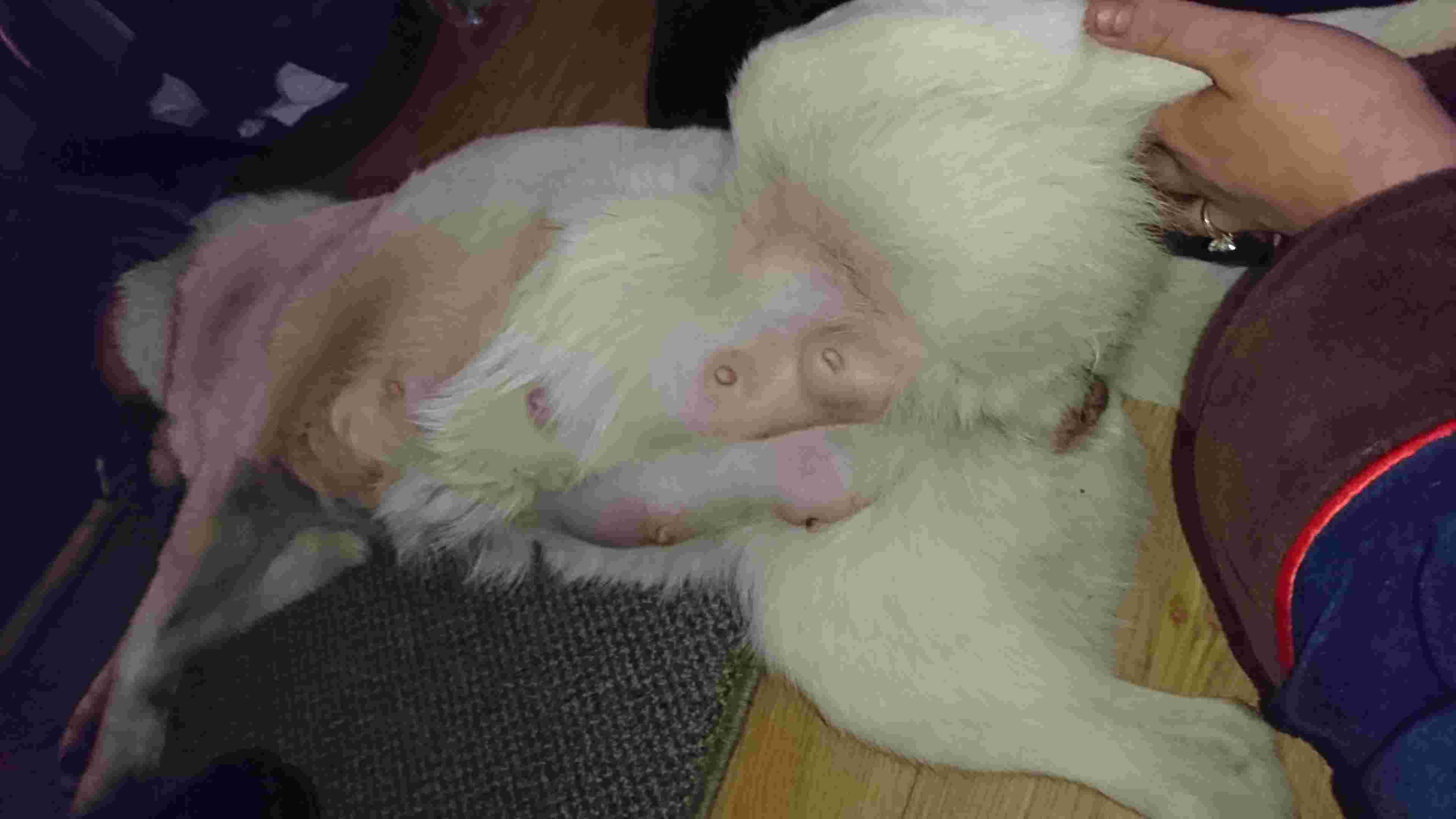 Question details sensitive content