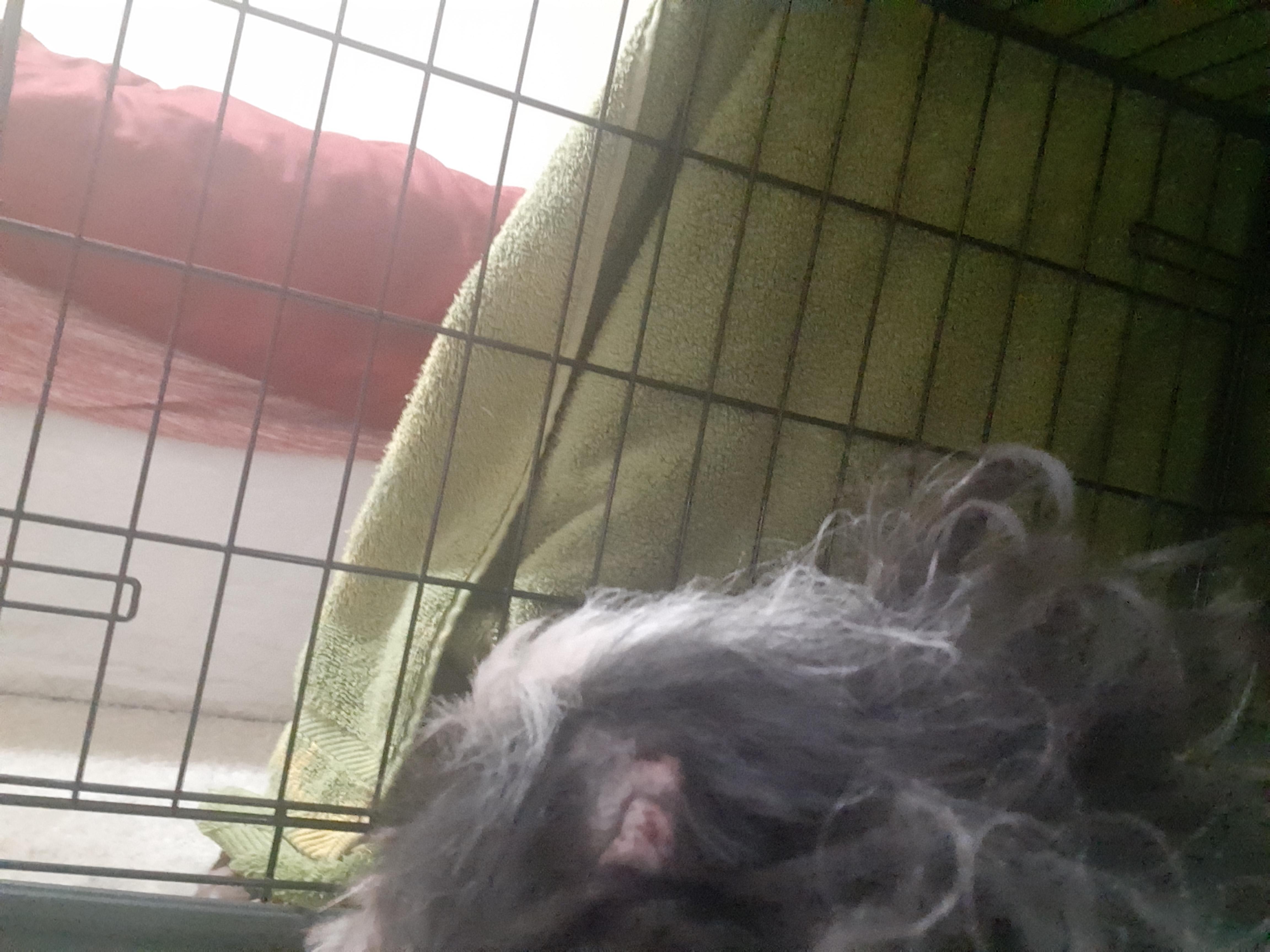 Question details sensitive content