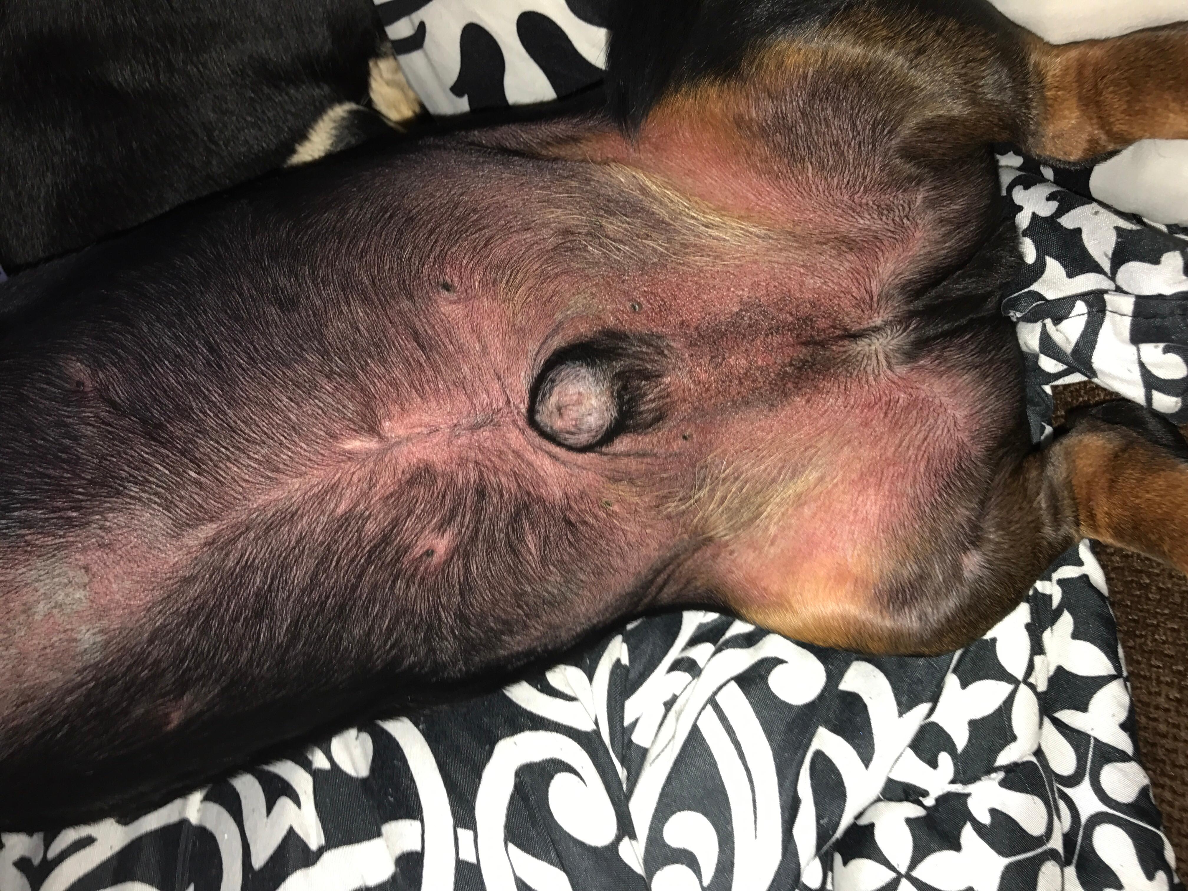 Question details sensitive content