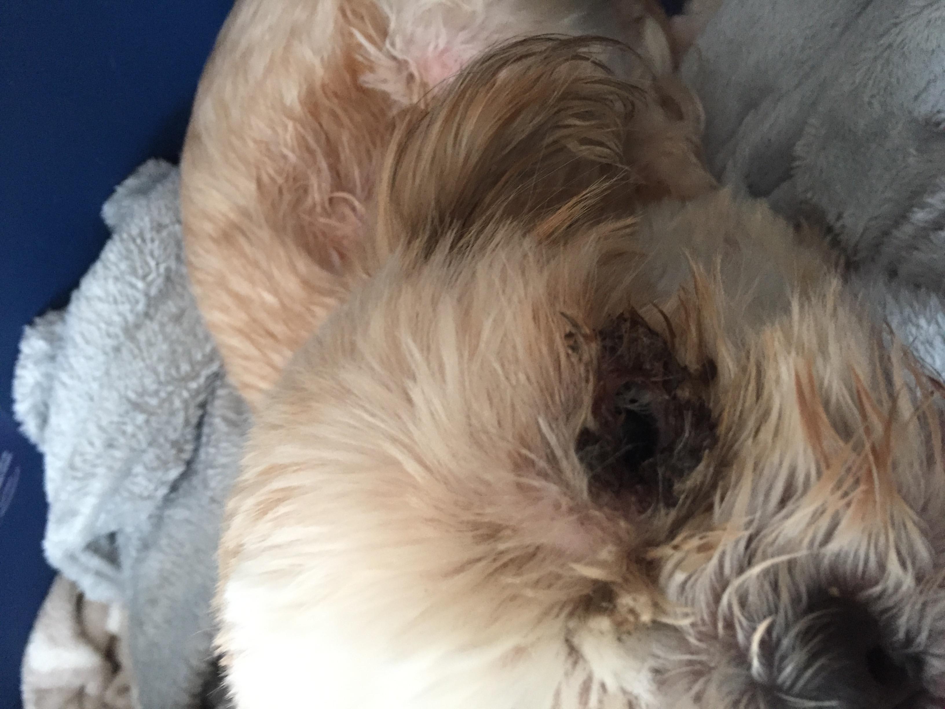 Question details sensitive content