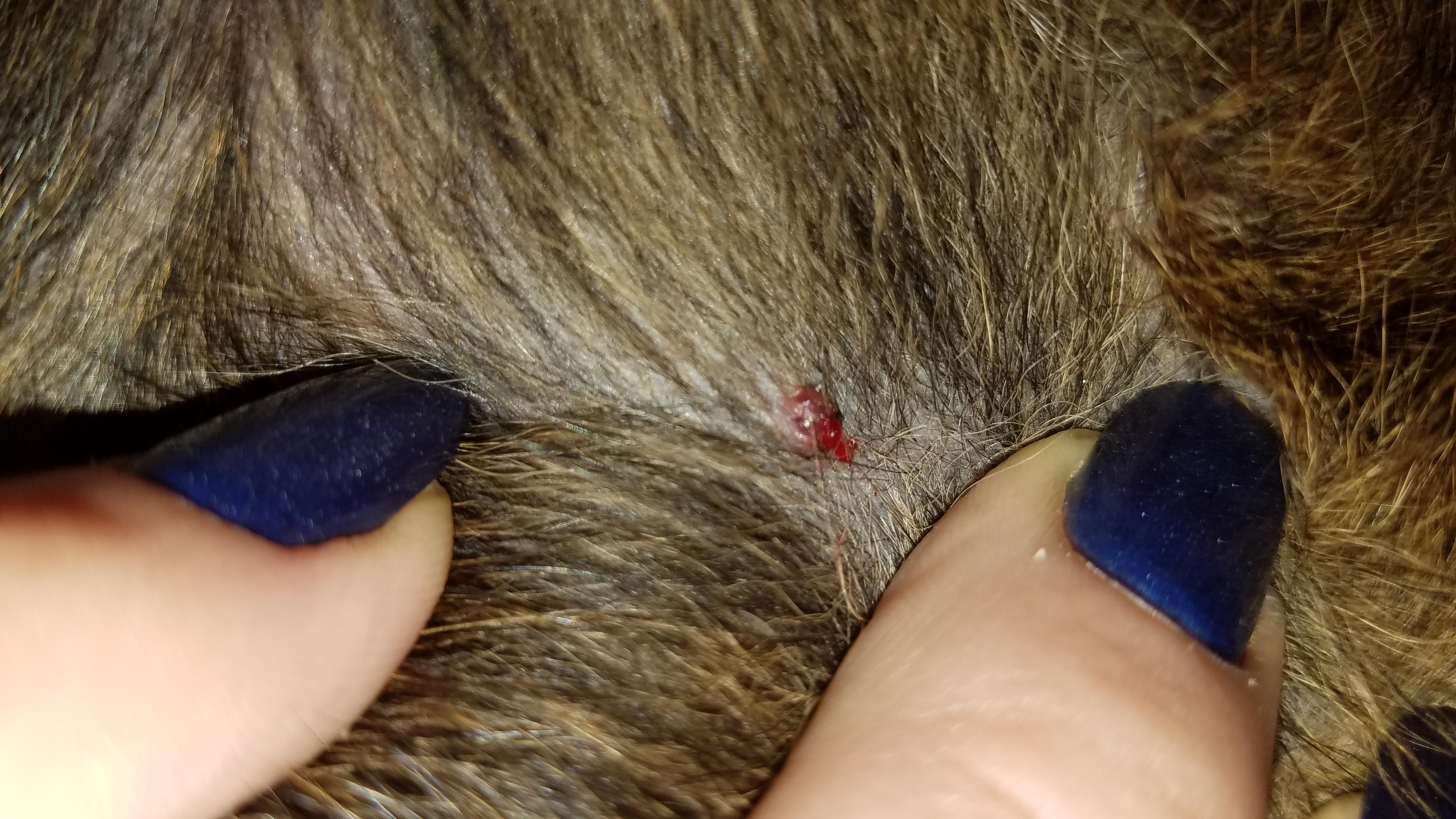 Question details sensitive content