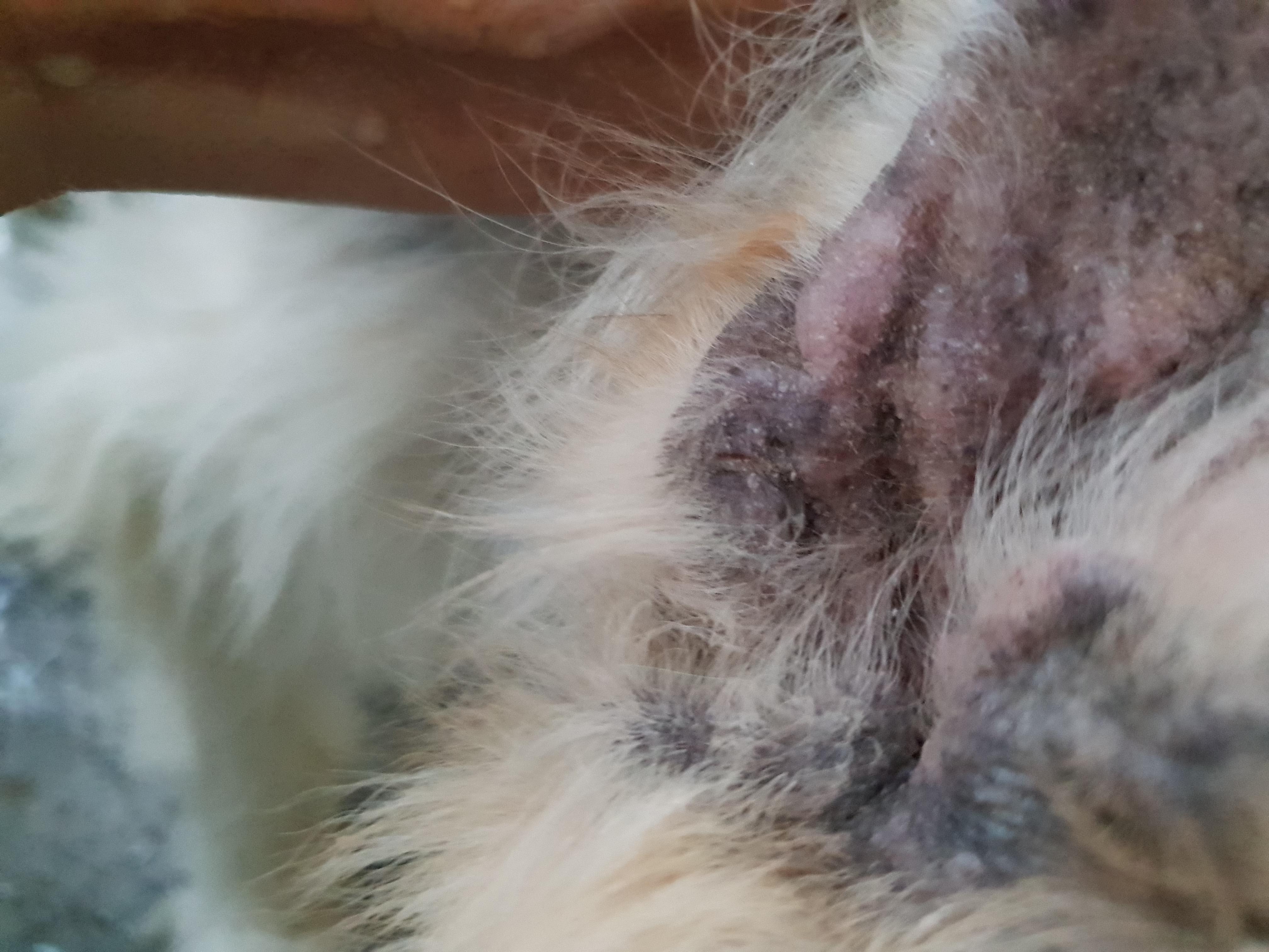 Question details sensitive content