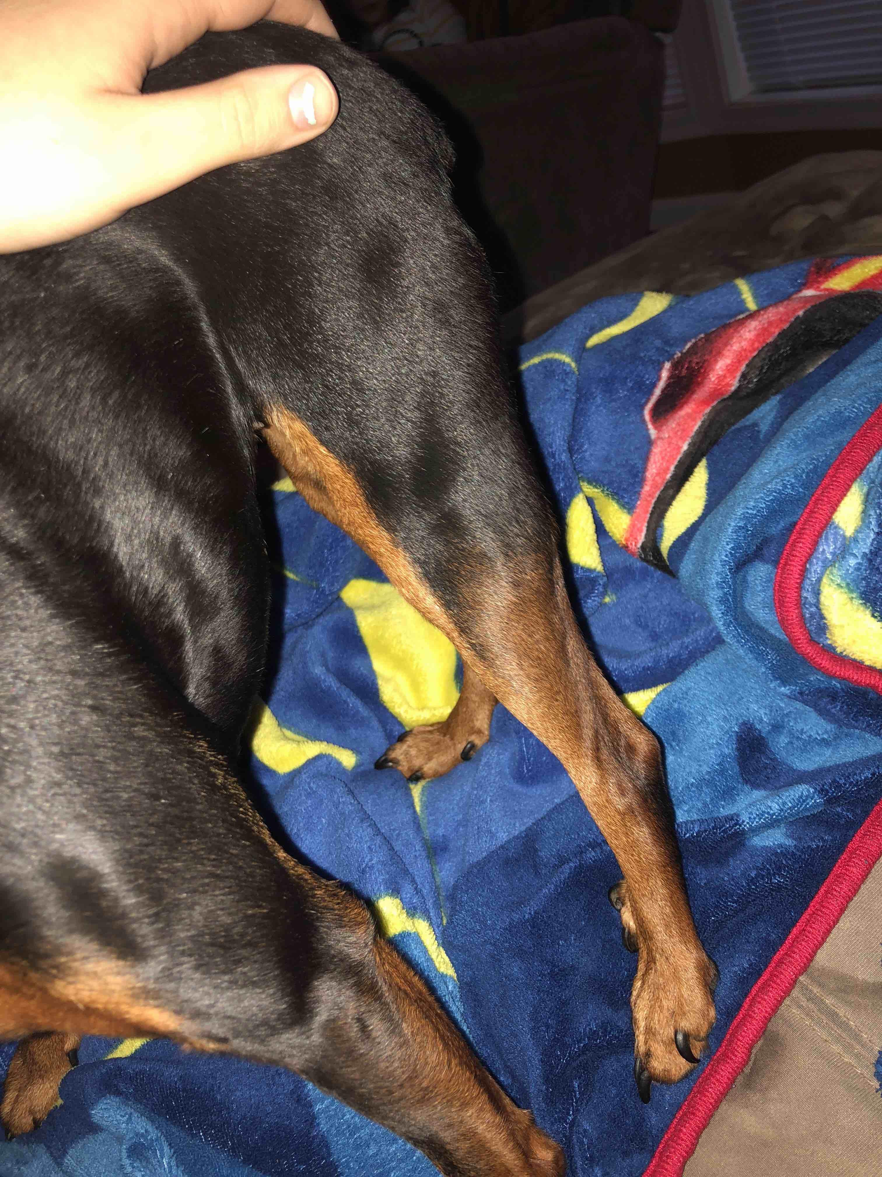 Question details sensitive content