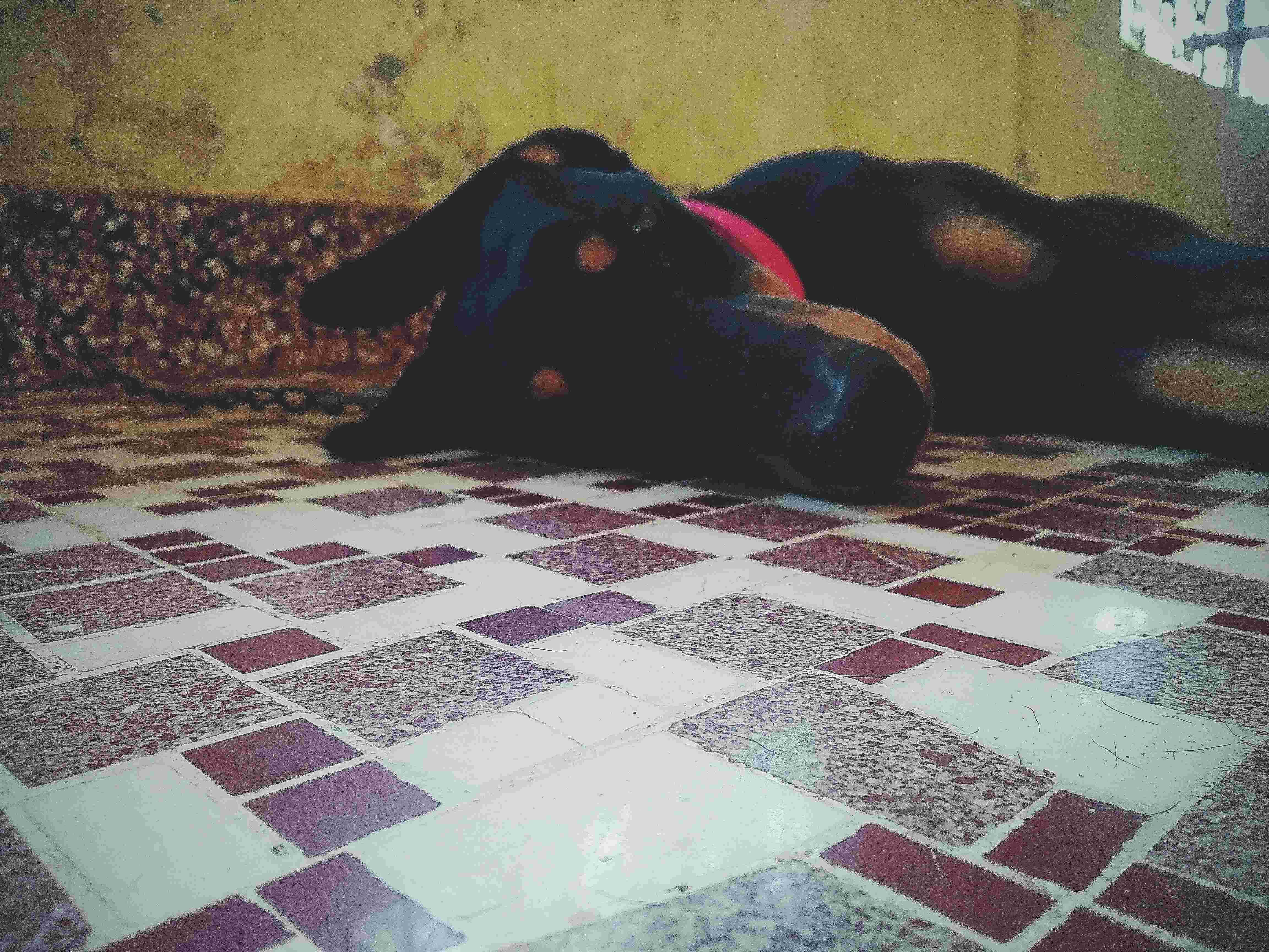 Question details sensitive content