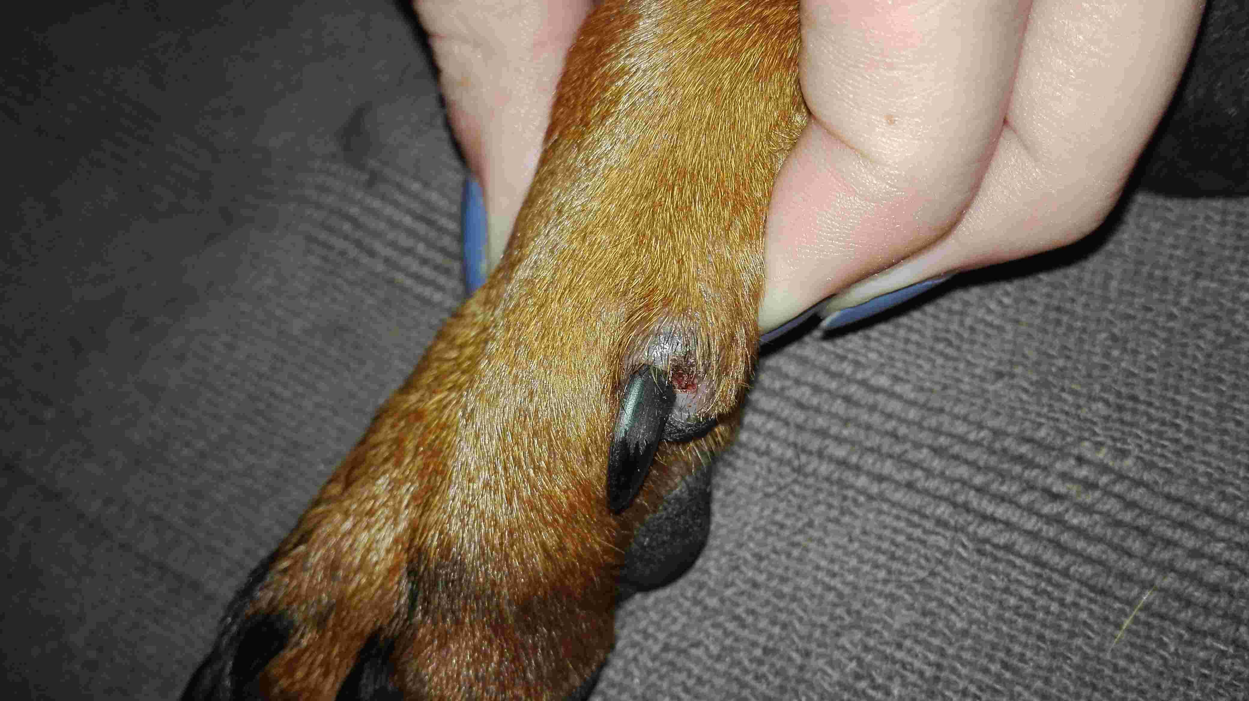 Question details sensitive content