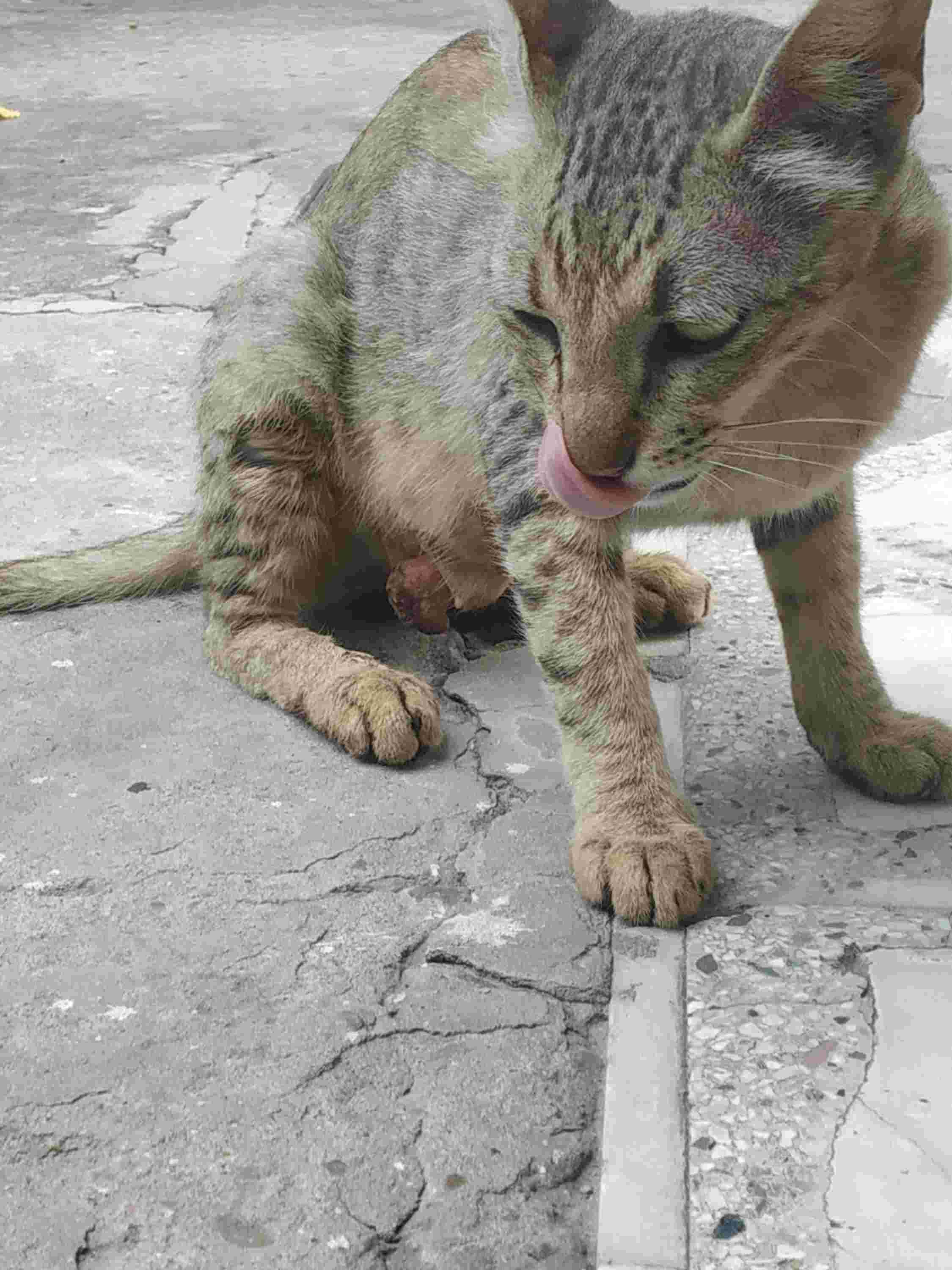 Question details sensitive content