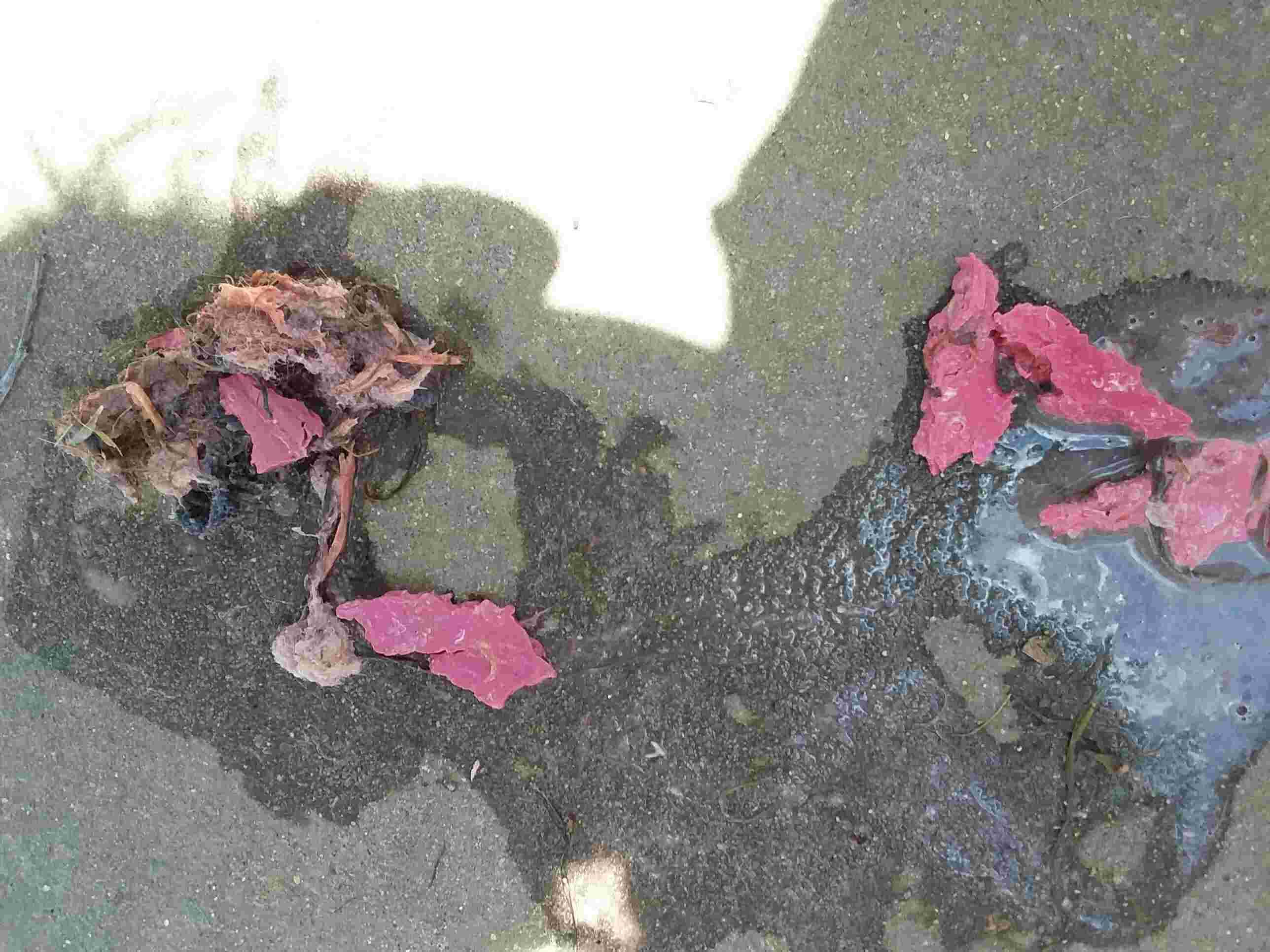 Question details sensitive content