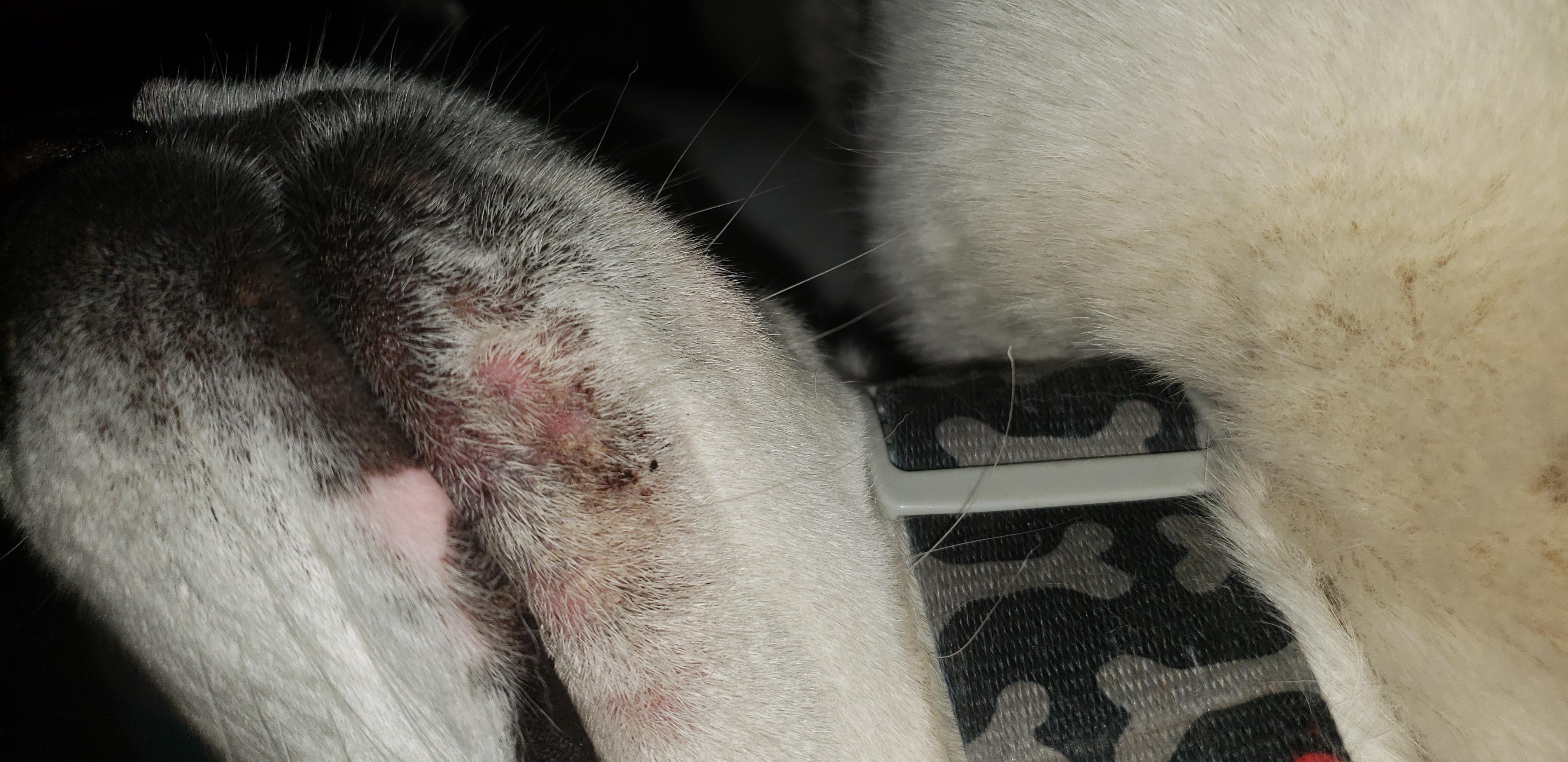 Question details sensitive content