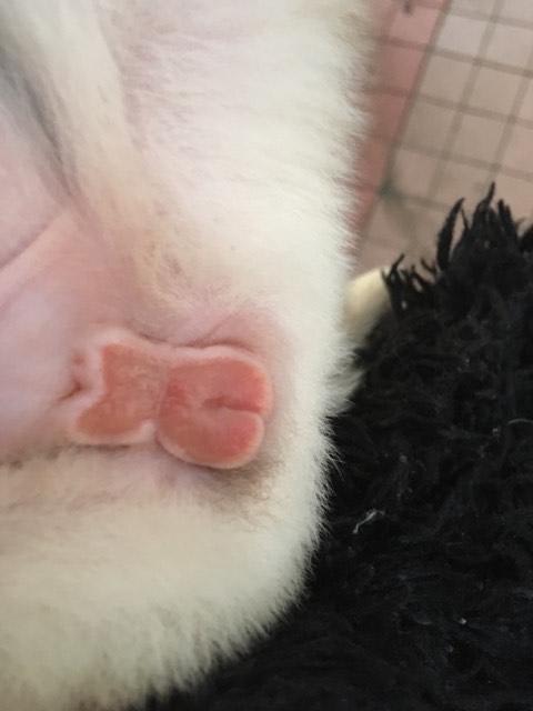 Question details sensitive content