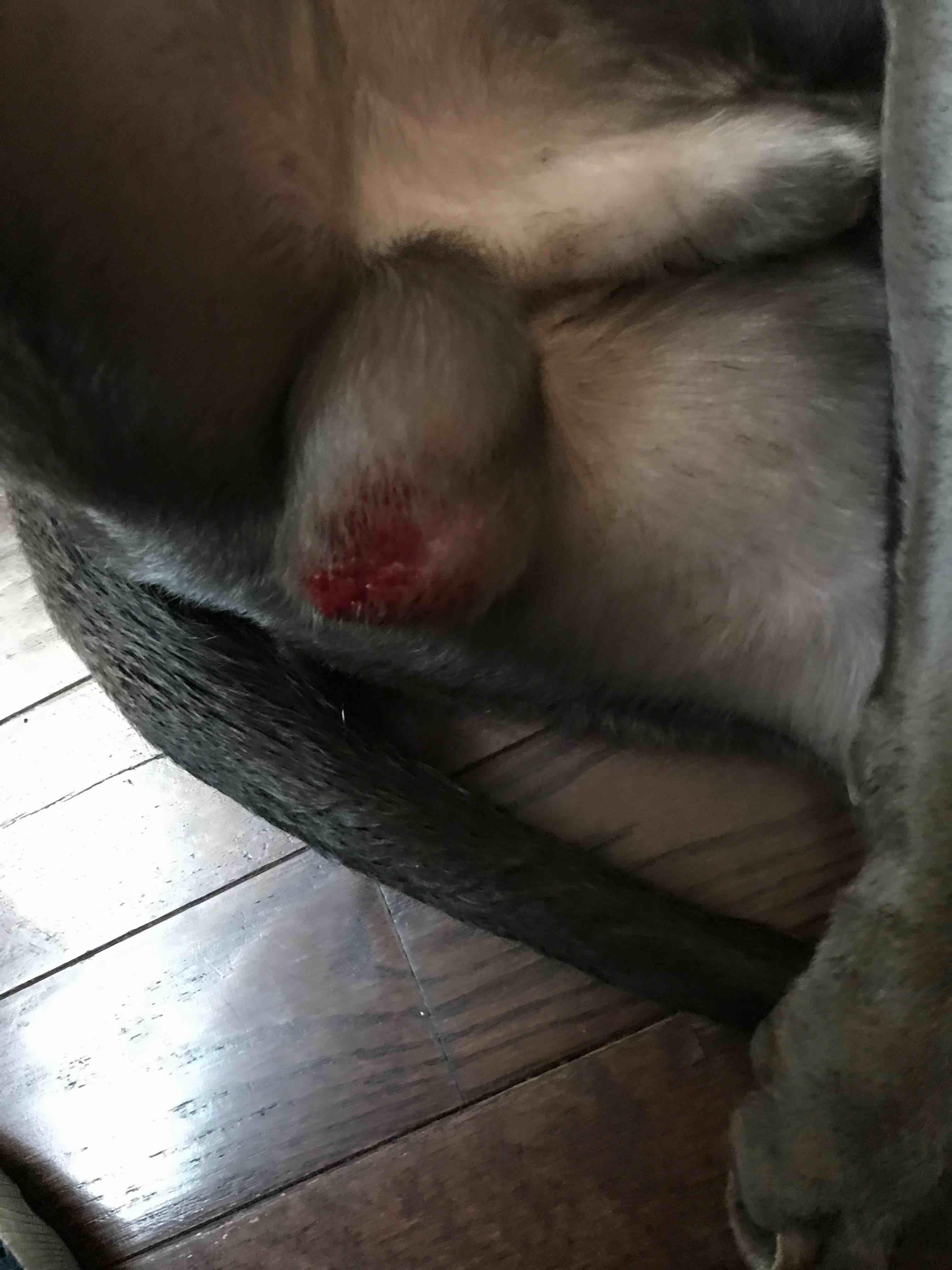 Question details sensitive content