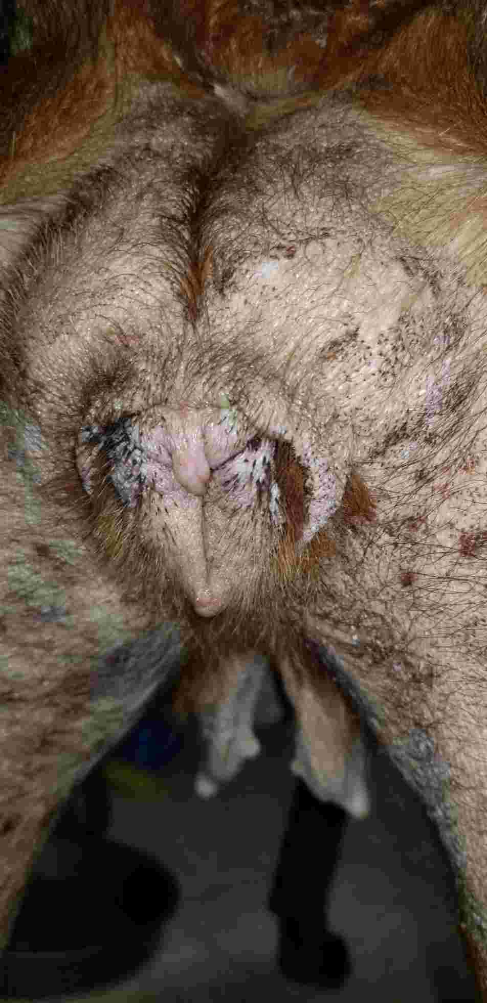 Question details sensitive content