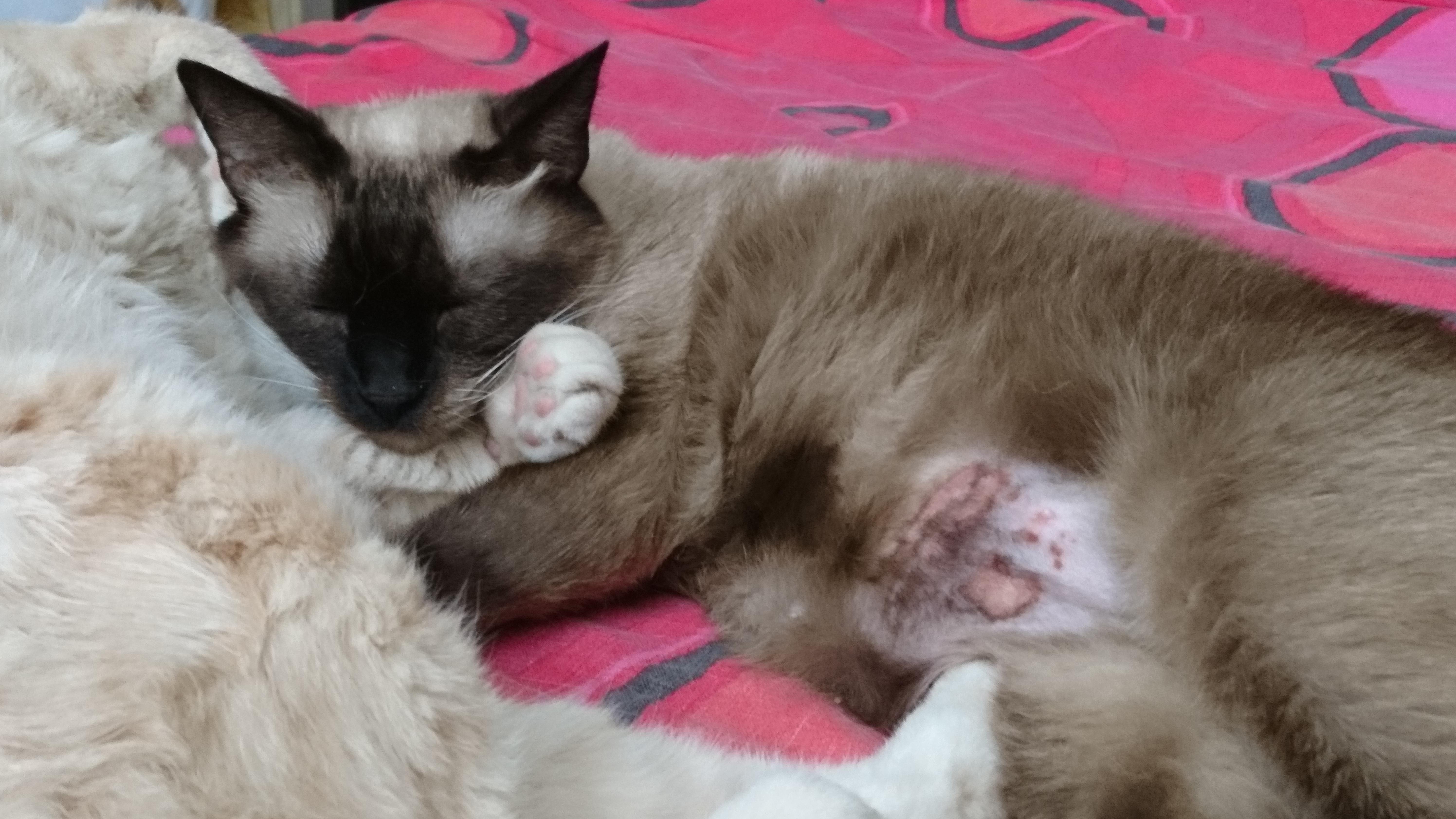 Question details sensitive content