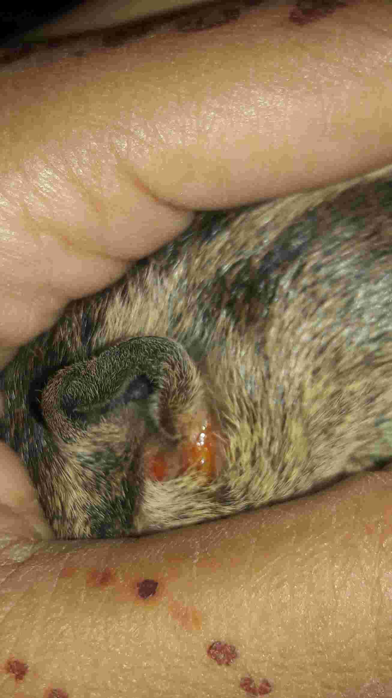 Question details sensitive content