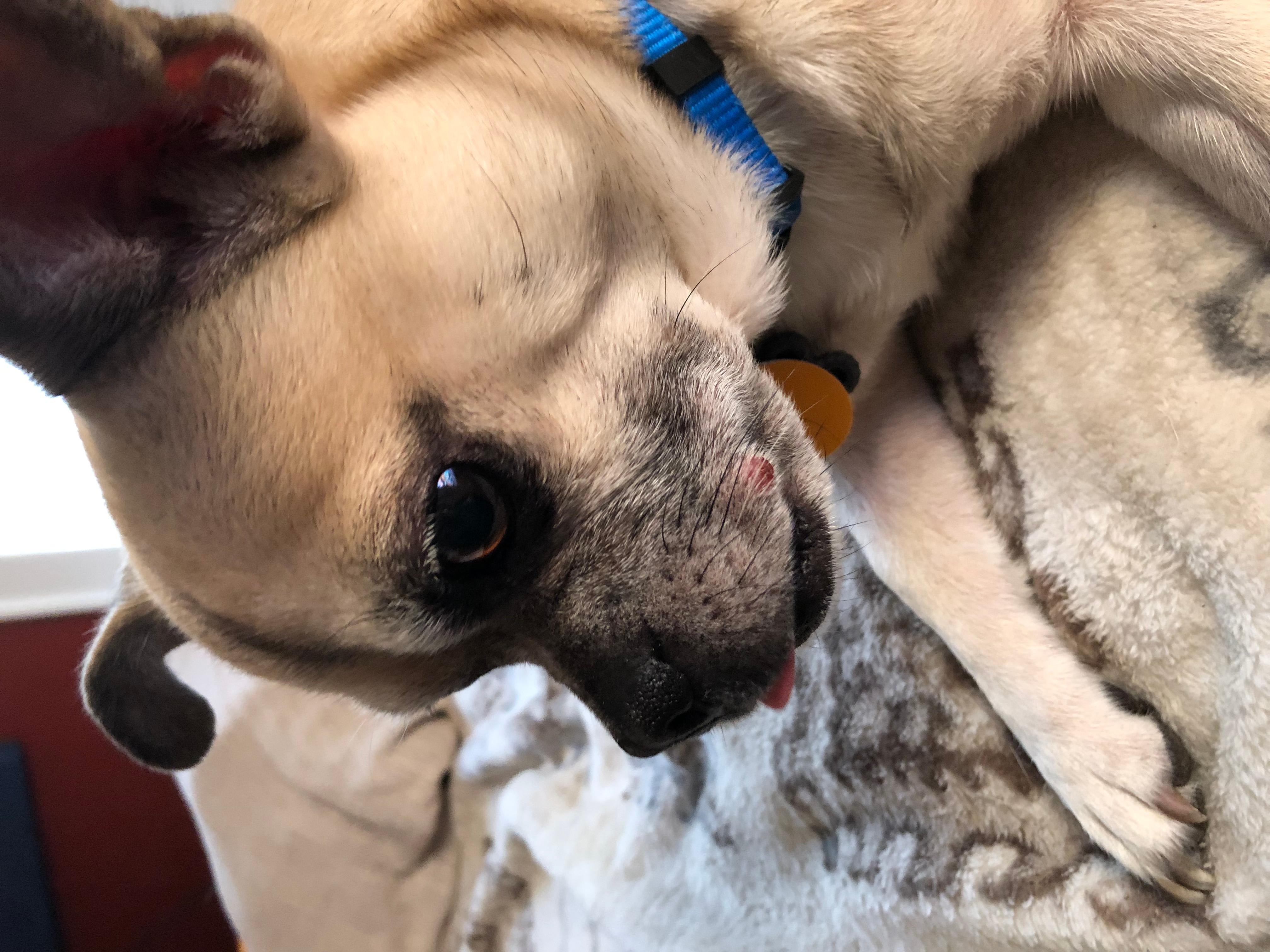 Question details sensitive content