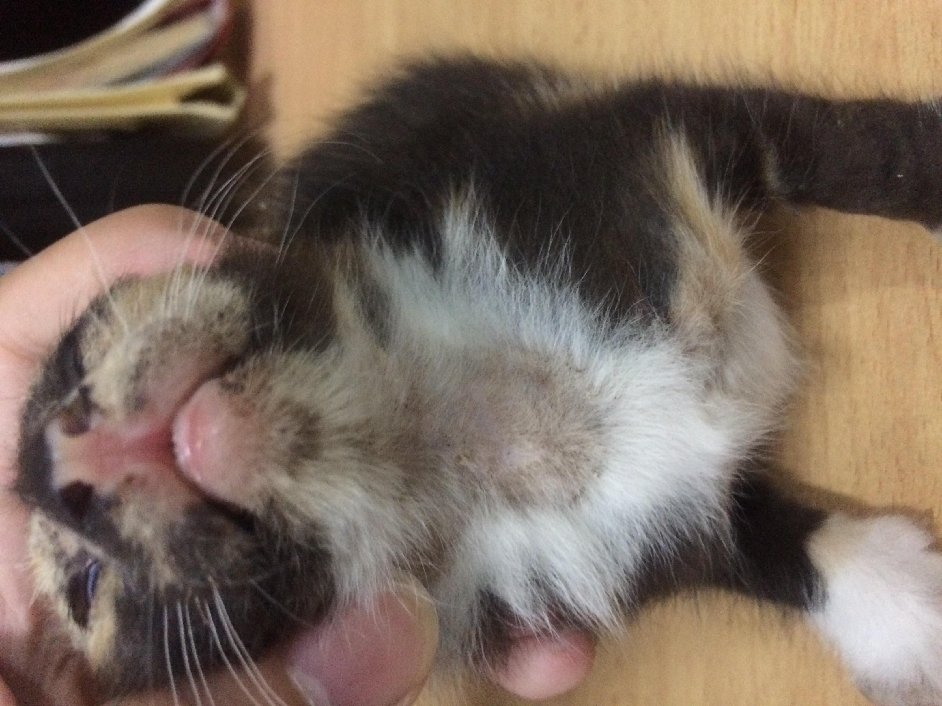 Question details sensitive content