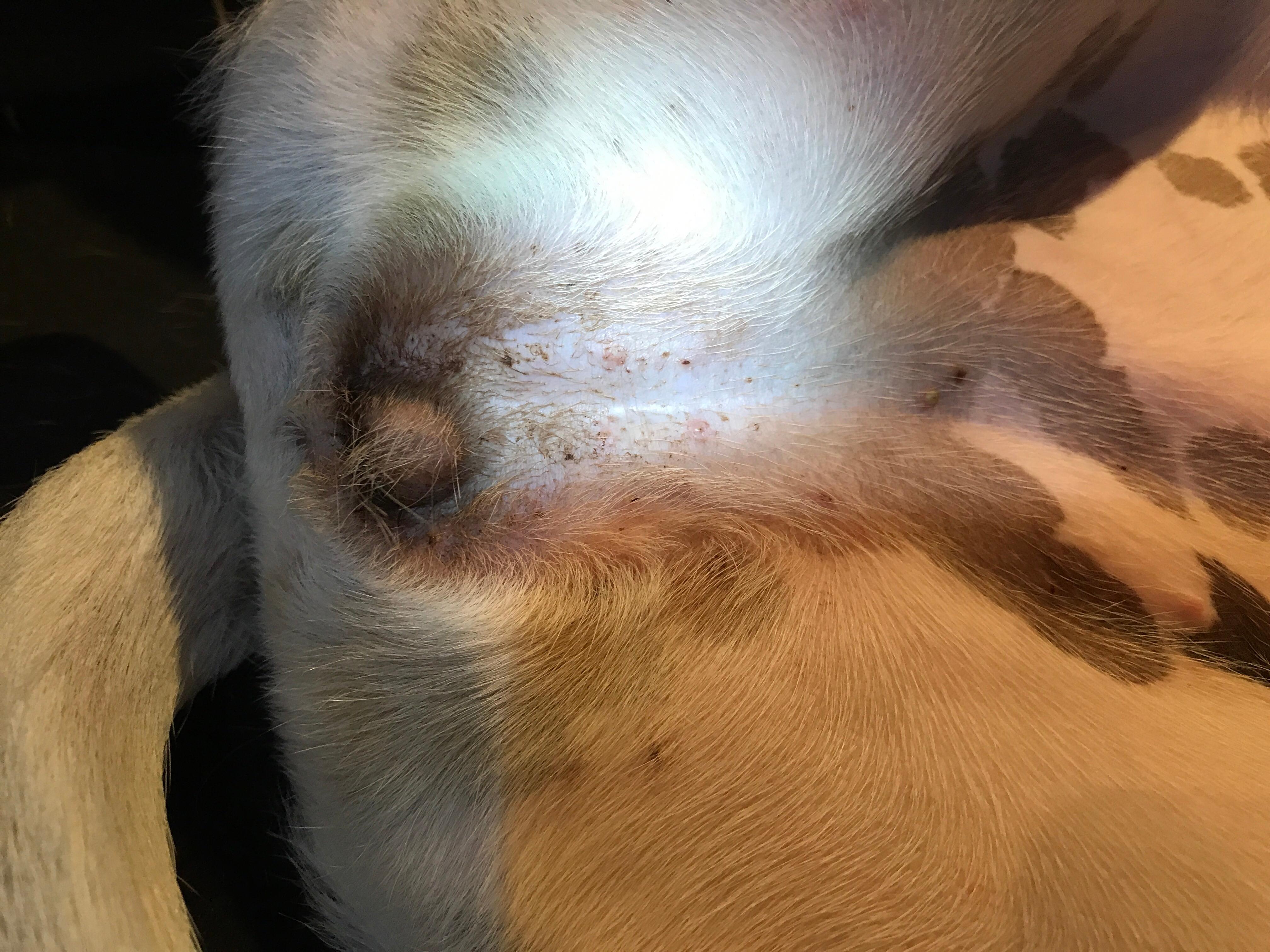 Question details sensitive content