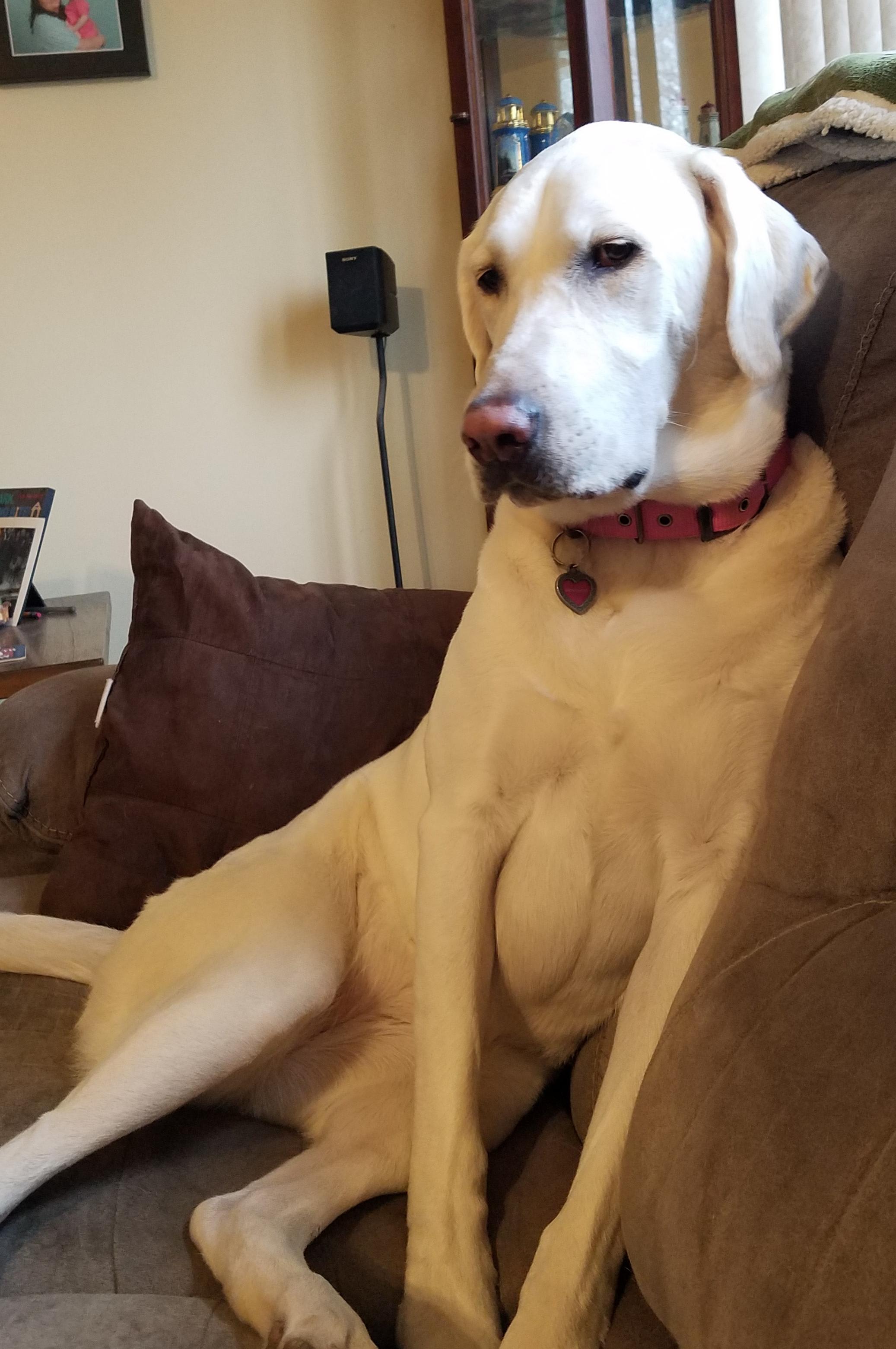 Question details sensitive content